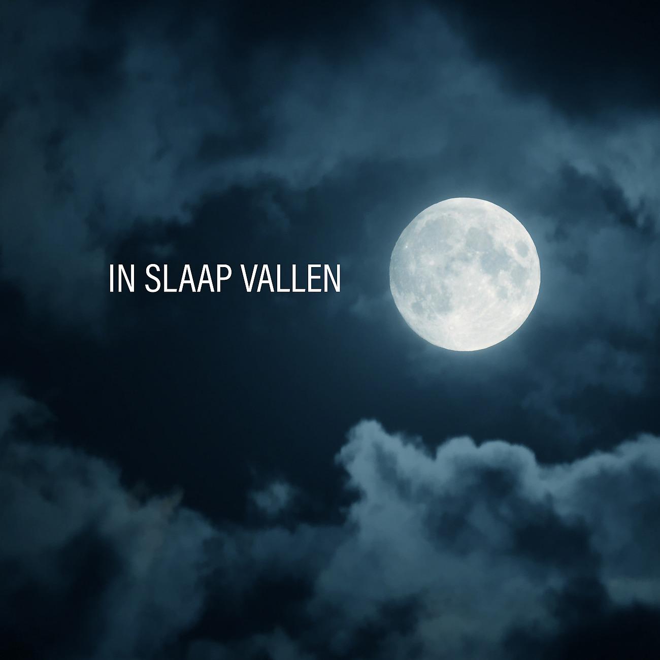 Постер альбома In Slaap Vallen