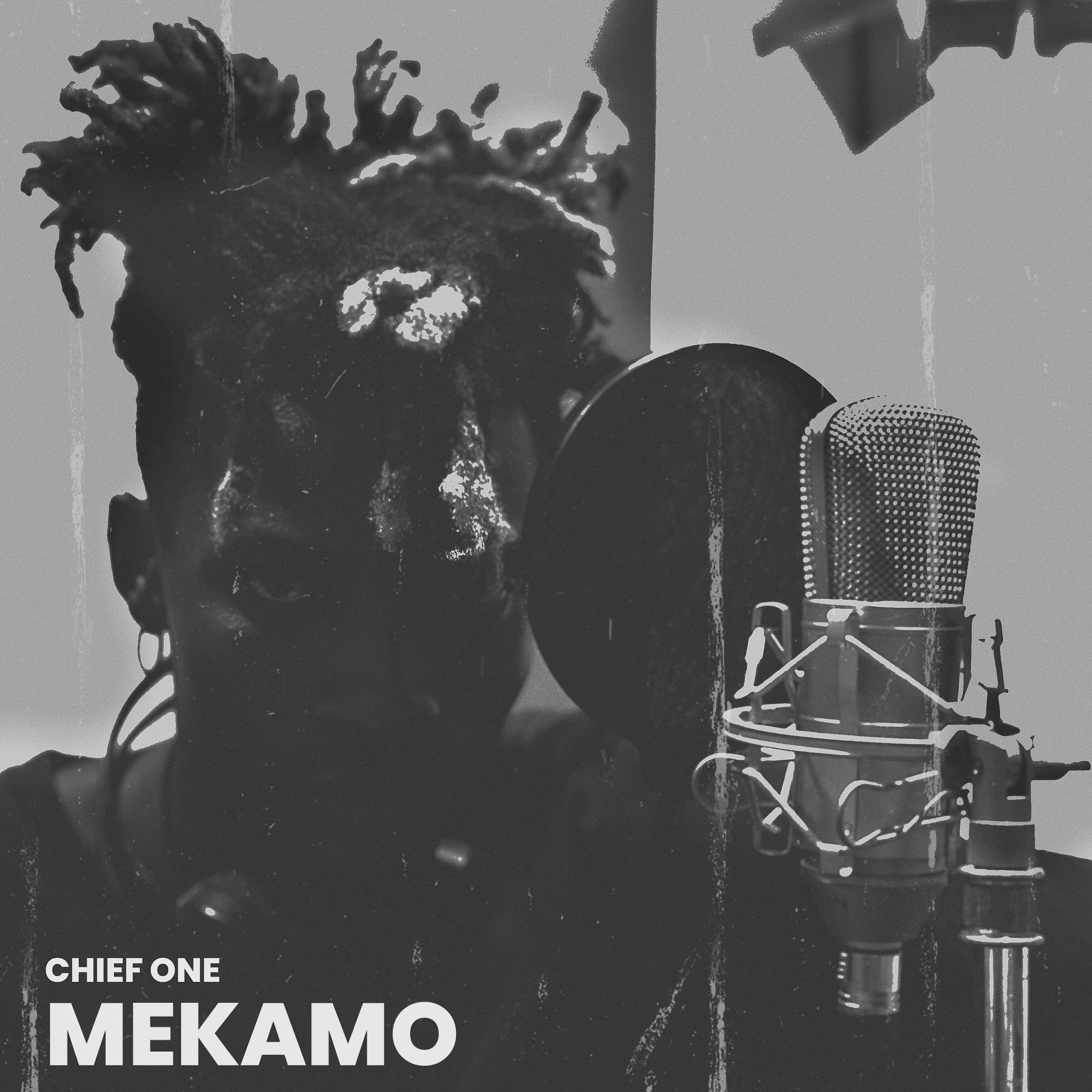 Постер альбома Mekamo