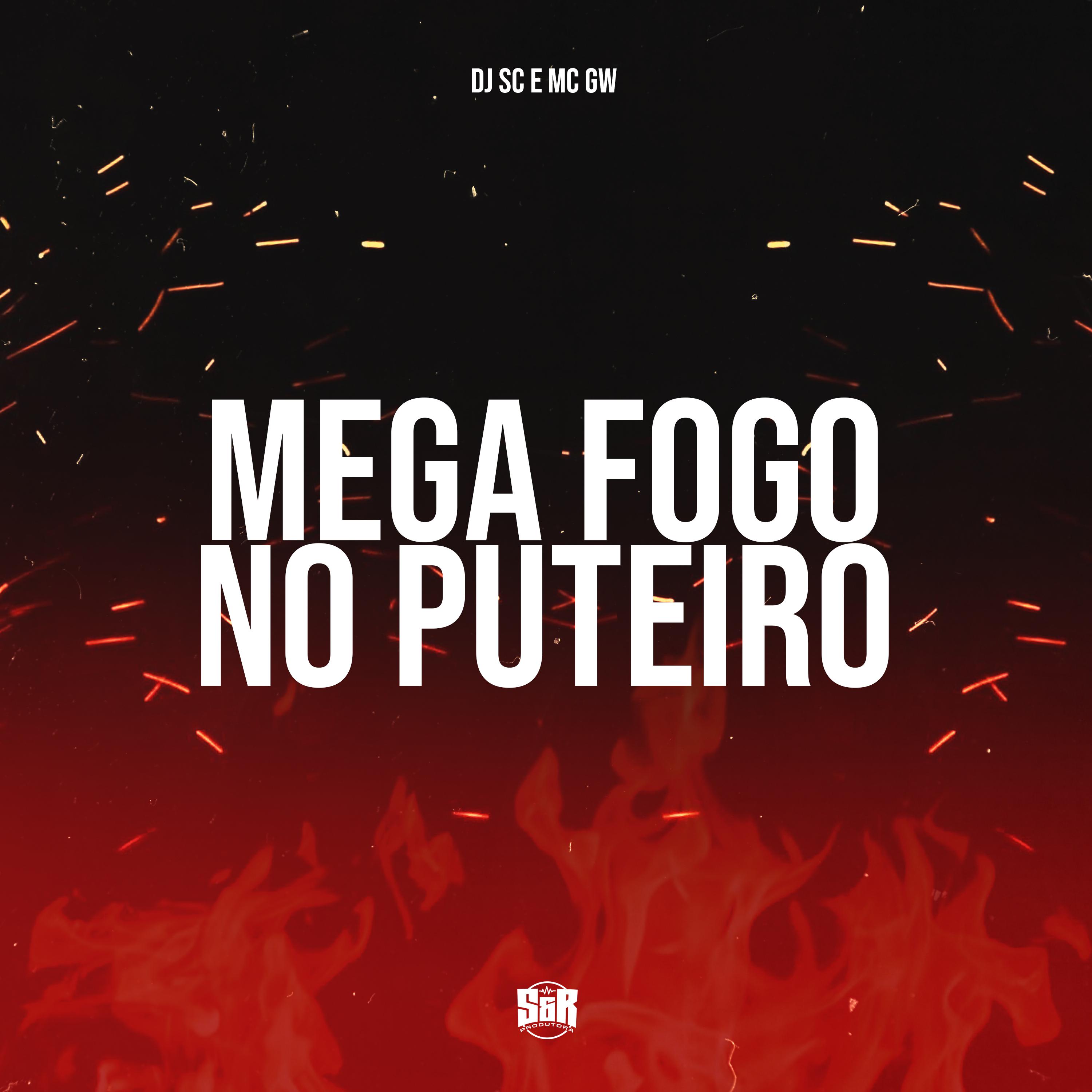 Постер альбома Mega Fogo no Puteiro