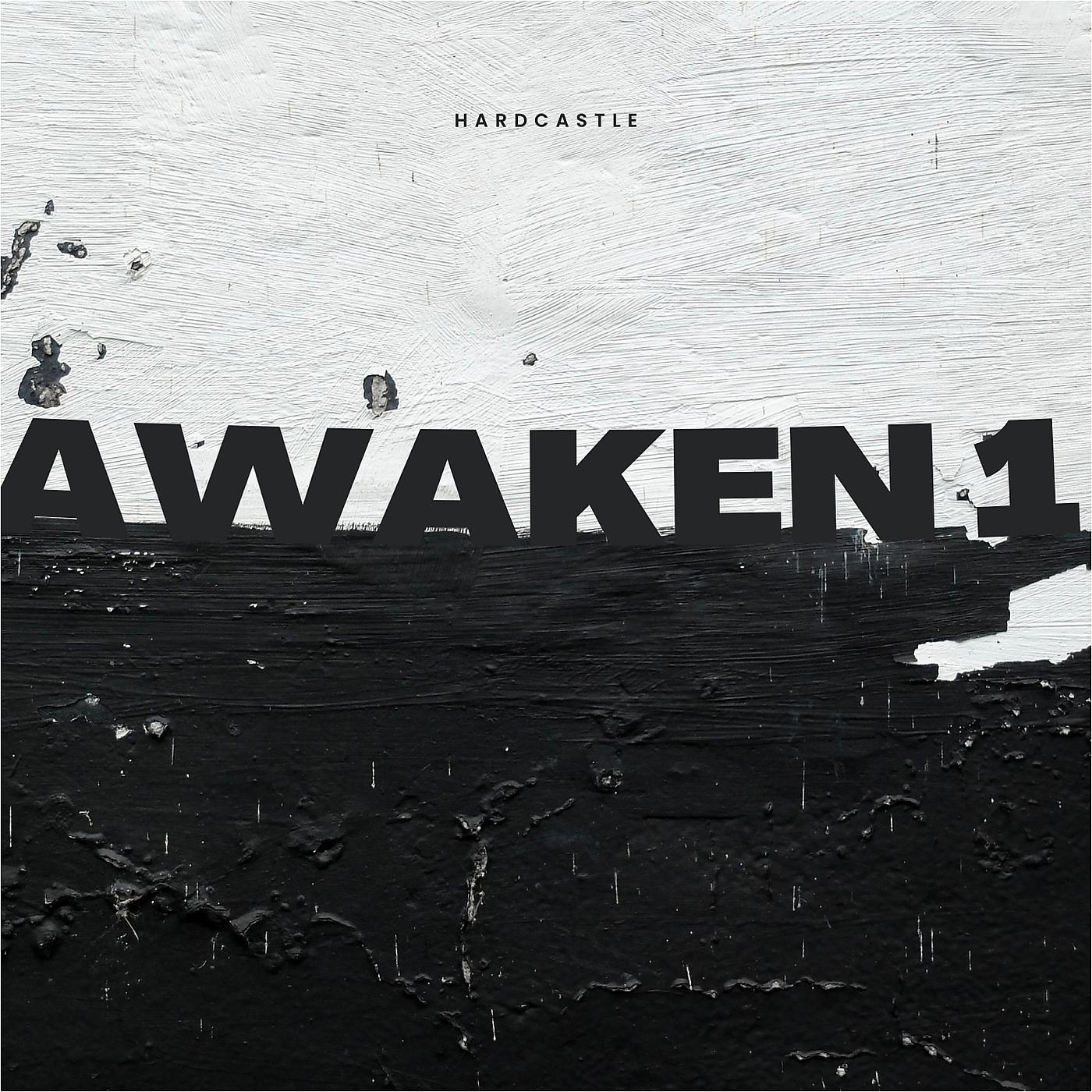 Постер альбома Awaken 1
