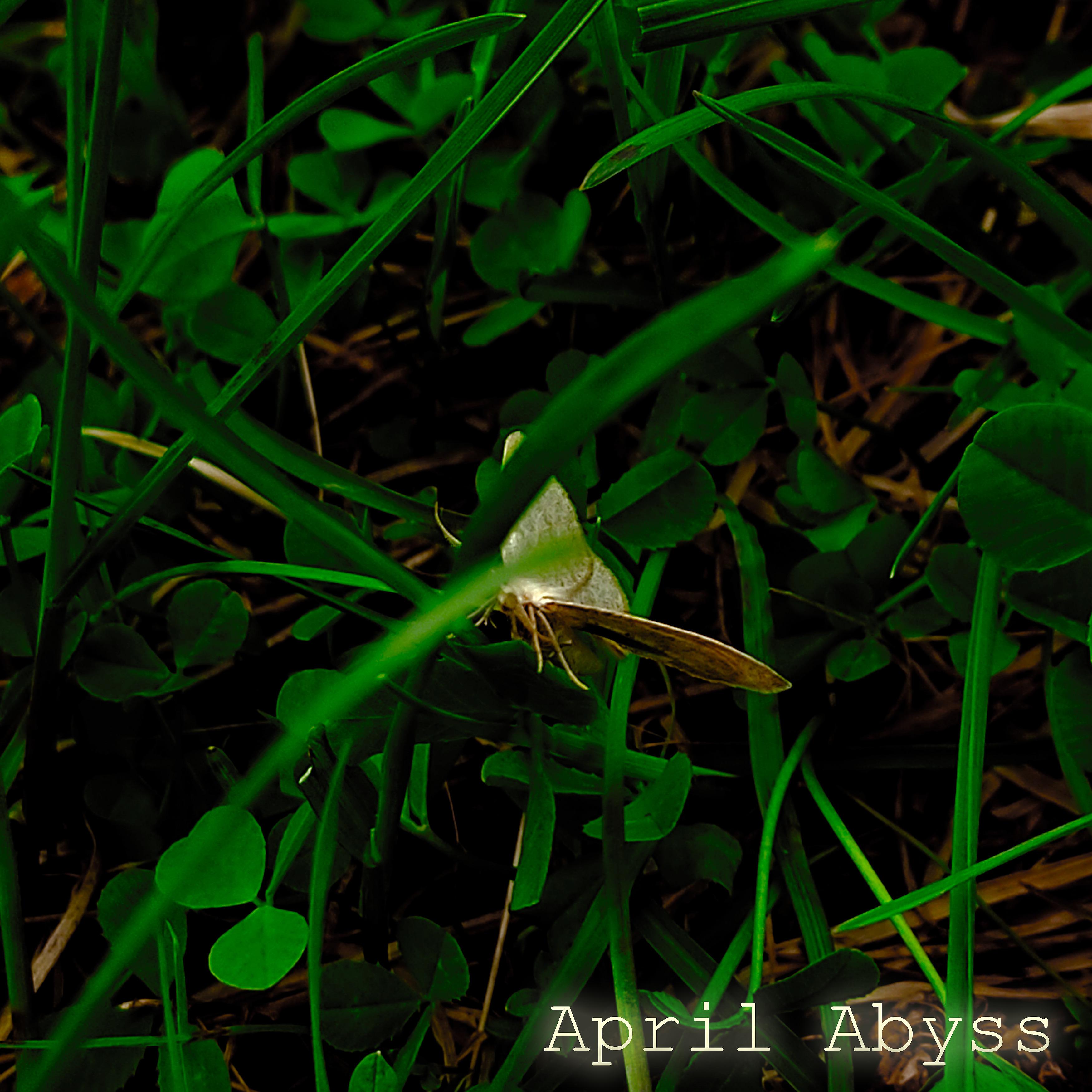 Постер альбома April Abyss