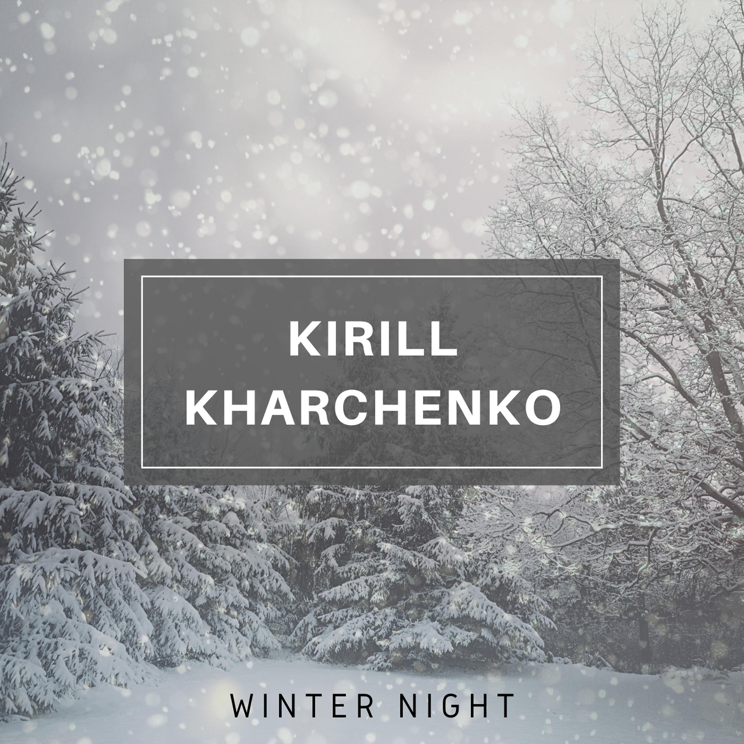 Постер альбома Winter Night
