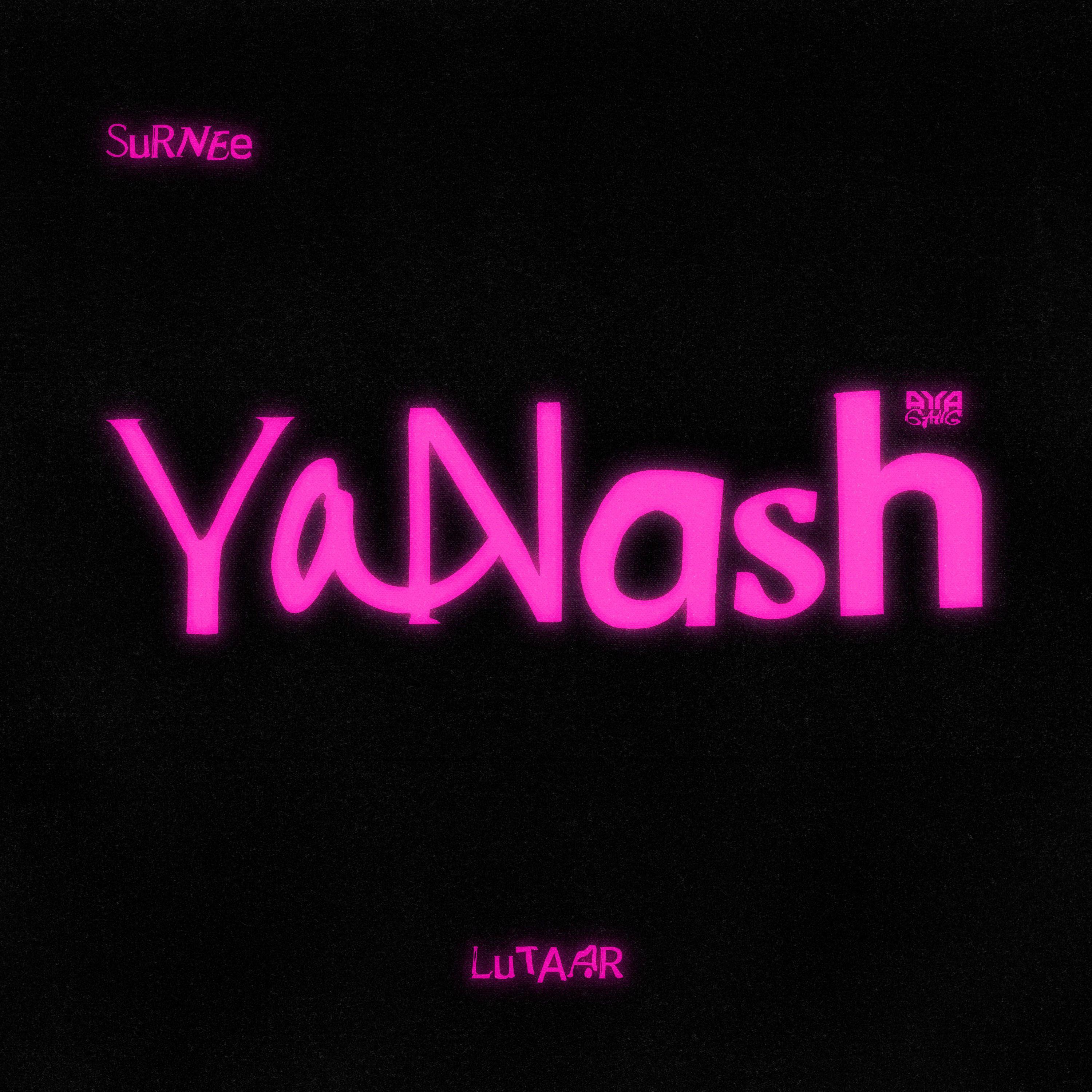 Постер альбома Yanash