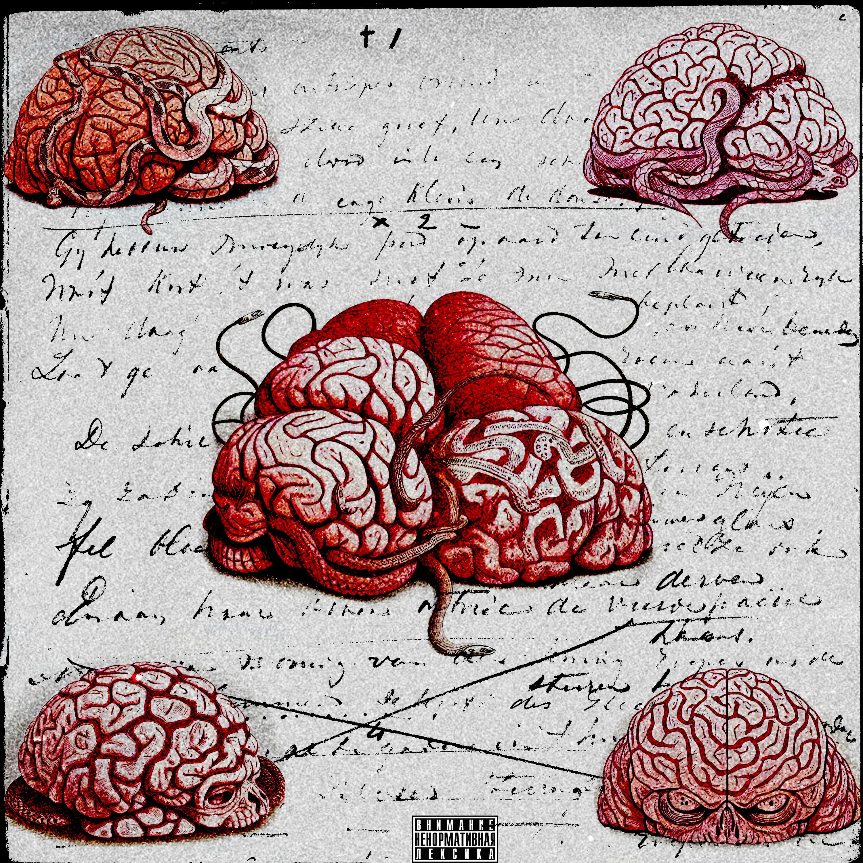 Постер альбома Запуск мозга
