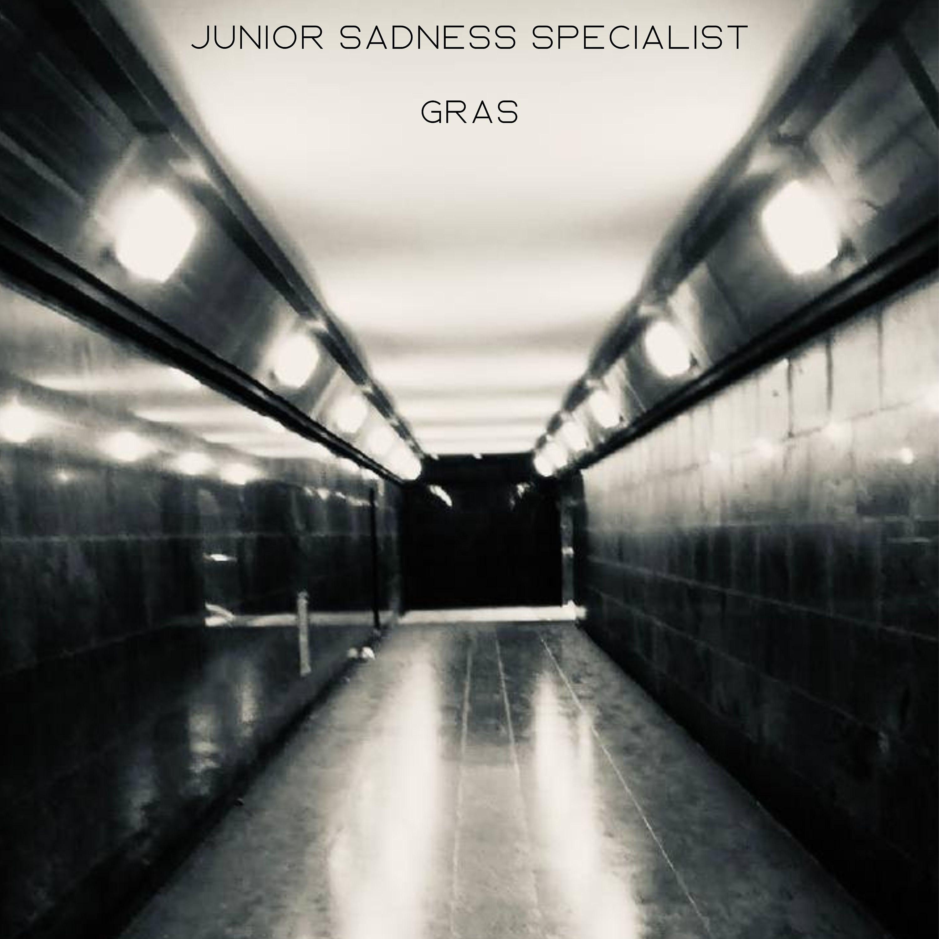 Постер альбома Junior Sadness Specialist