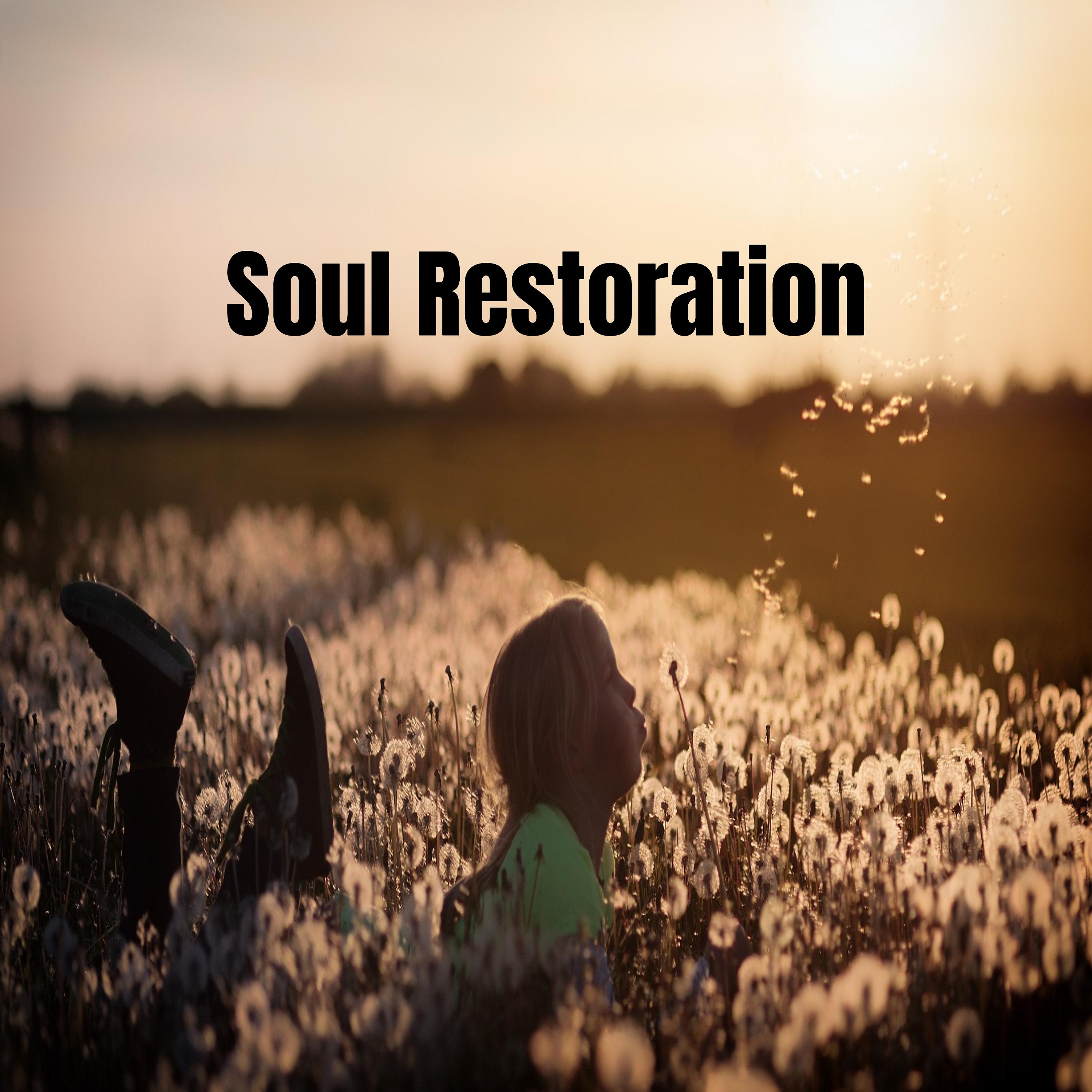 Постер альбома Soul Restoration