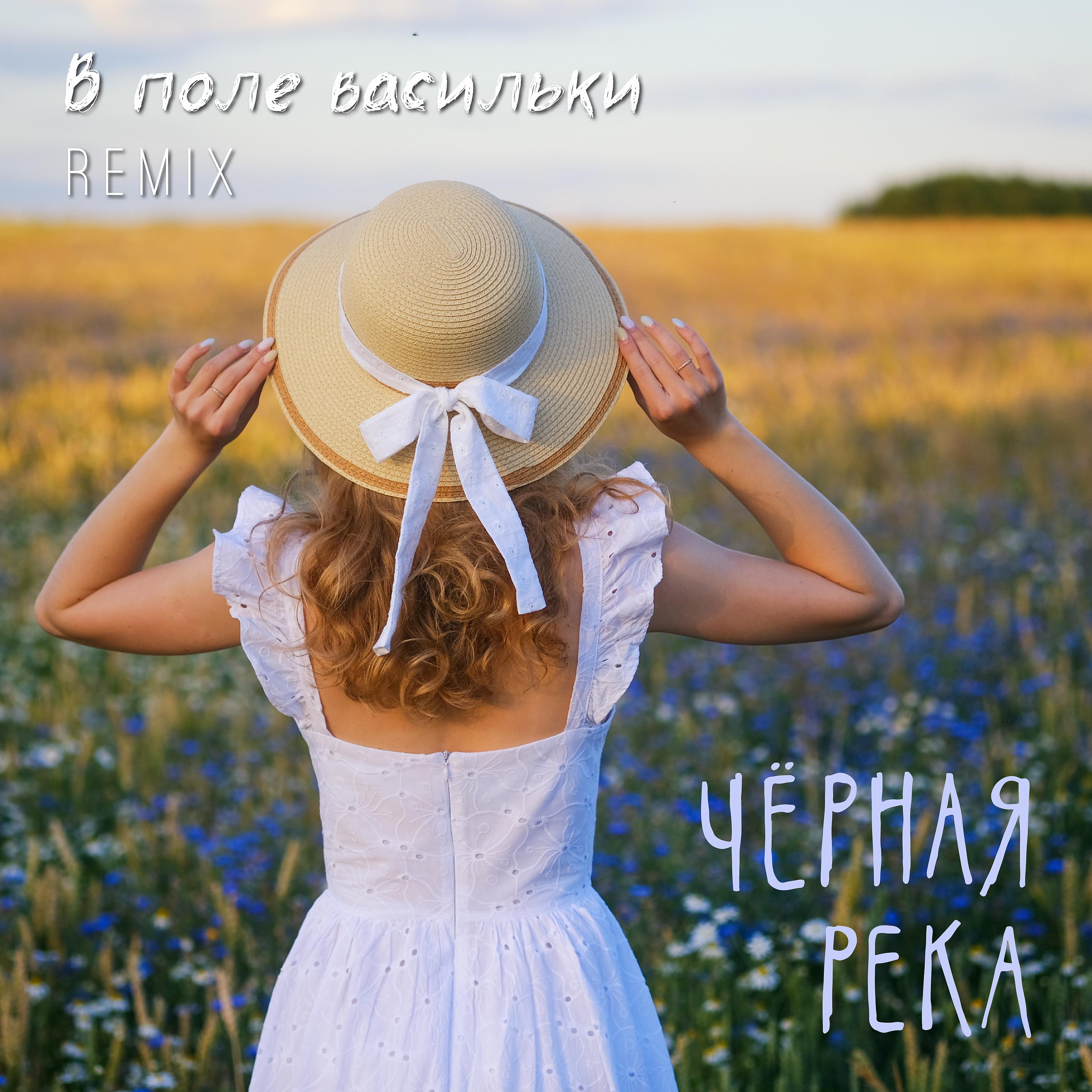 Постер альбома В поле васильки (Remix)