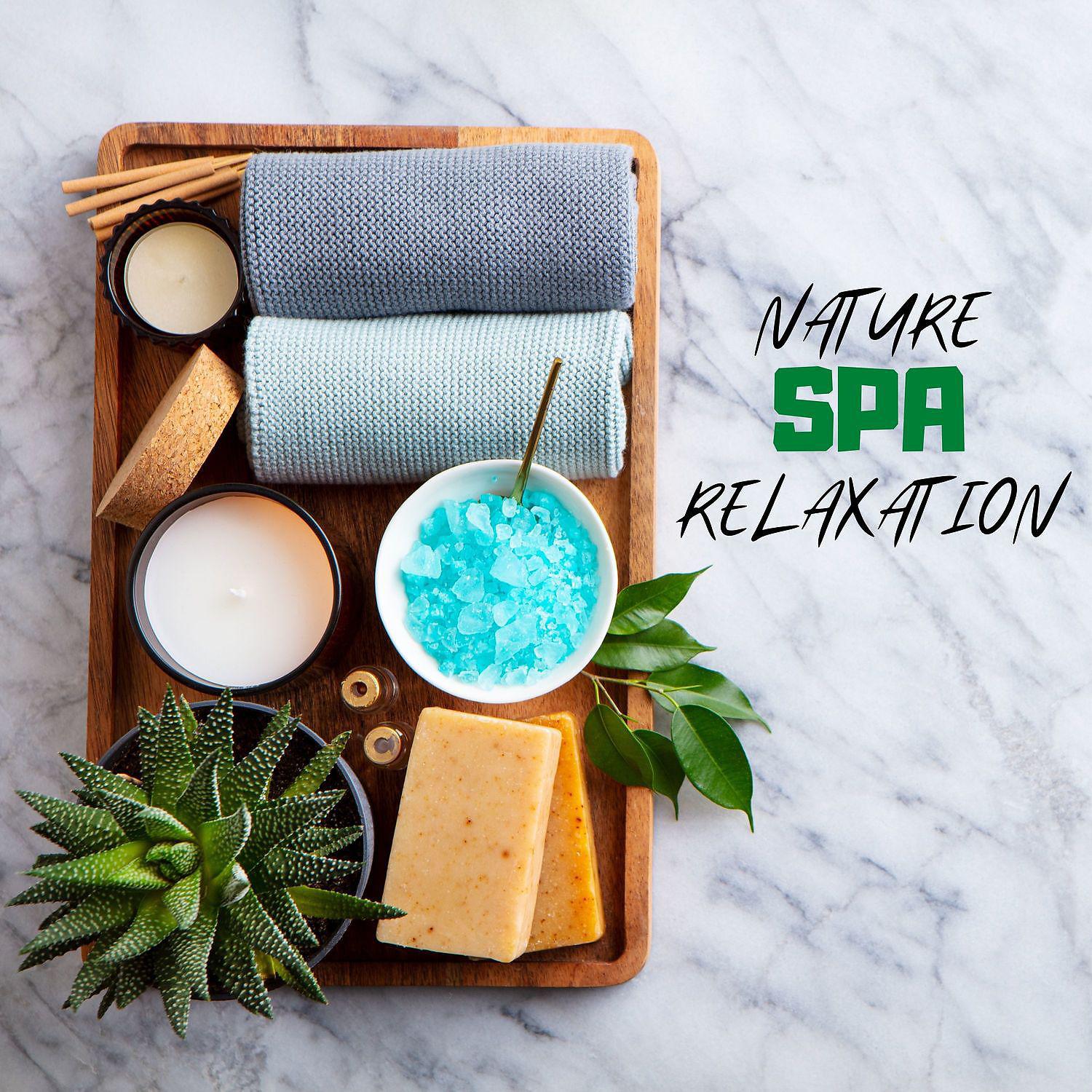 Постер альбома Nature Spa Relaxation