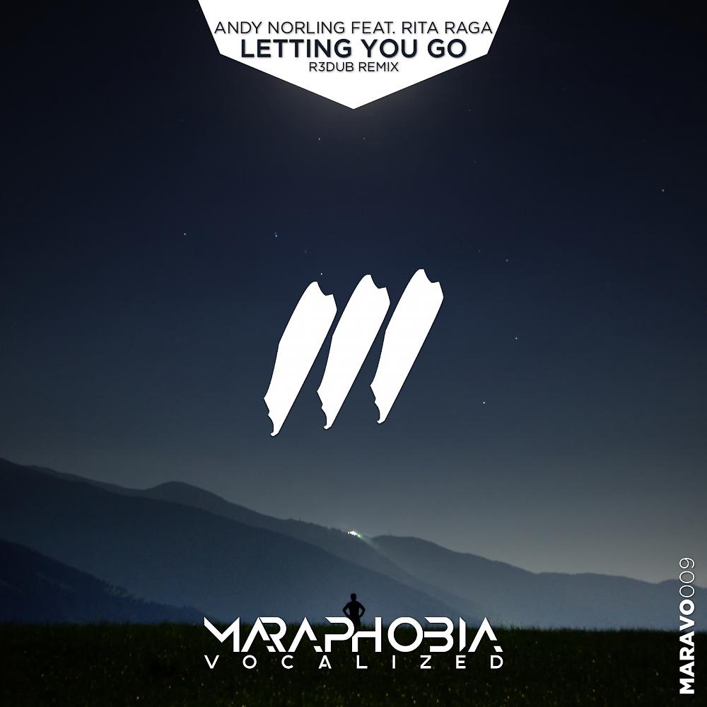 Постер альбома Letting You Go (R3dub Remix)