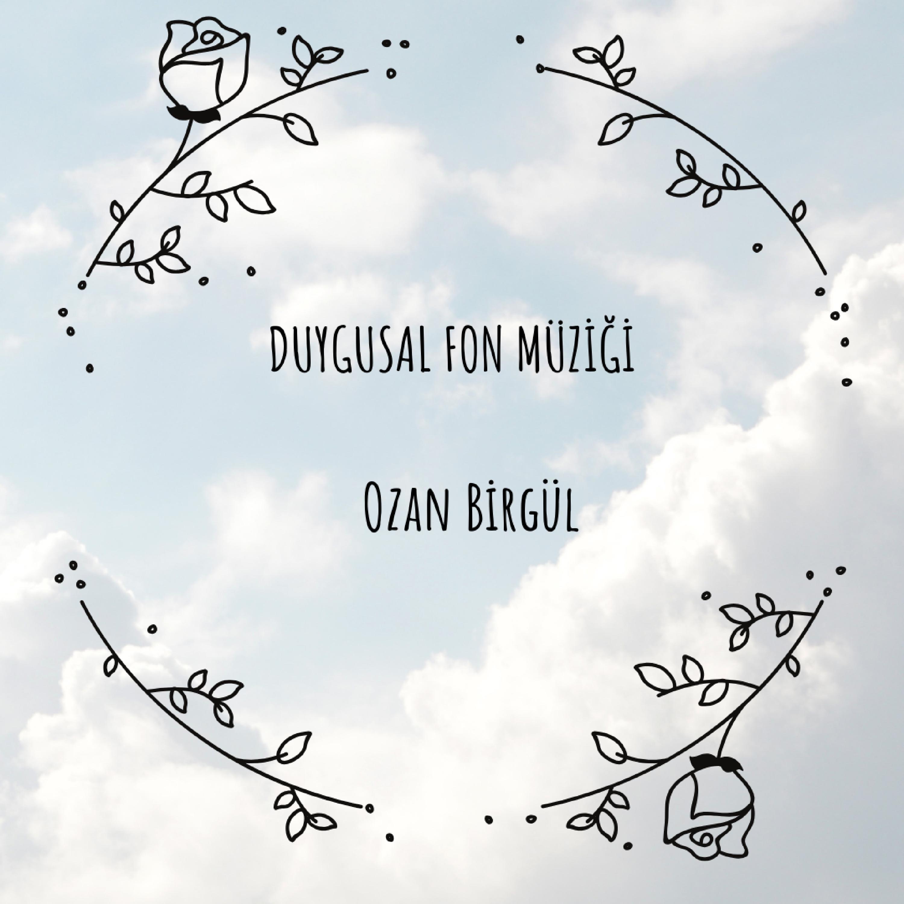 Постер альбома Duygusal Fon Müziği
