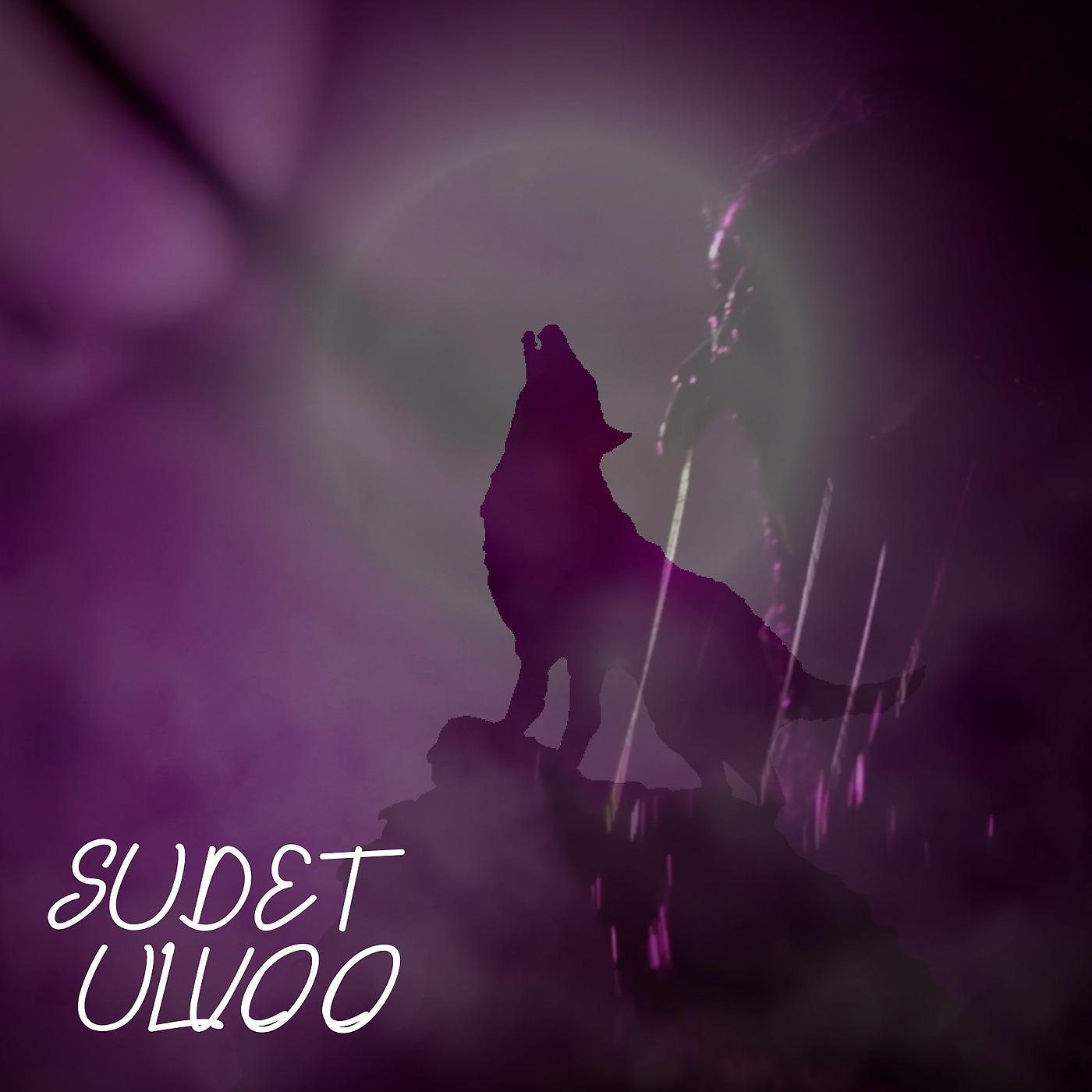 Постер альбома Sudet Ulvoo