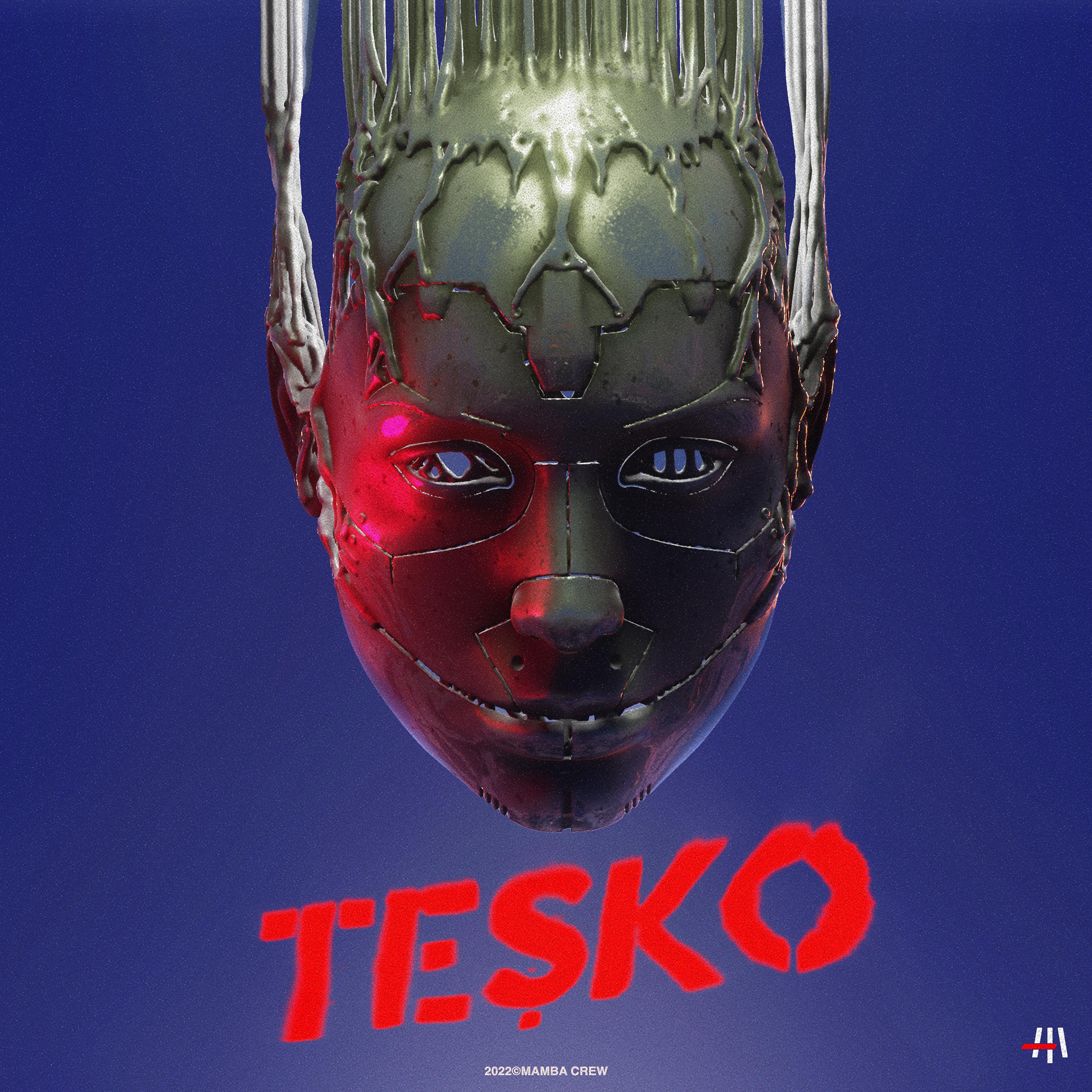 Постер альбома Teşko