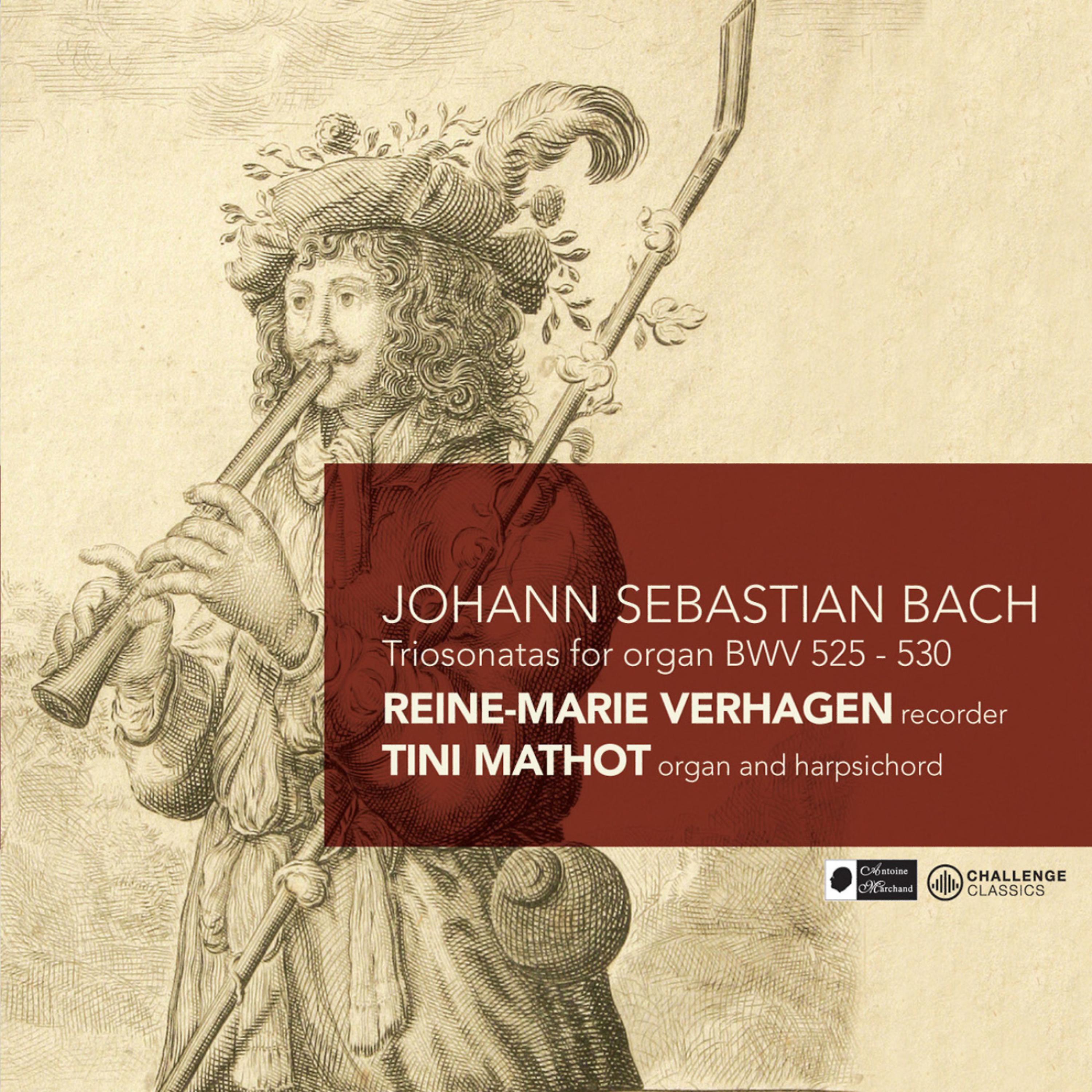 Постер альбома Bach: Triosonatas for Organ