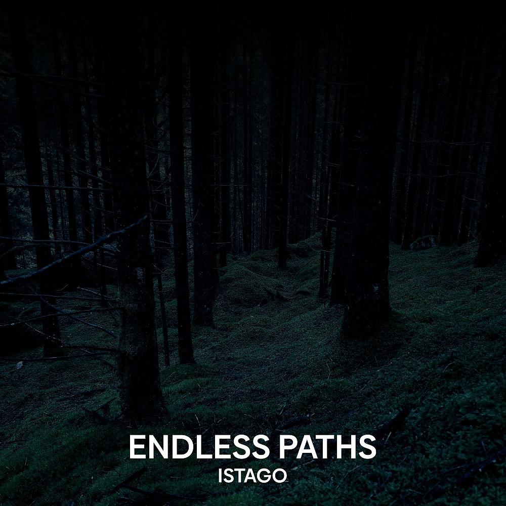 Постер альбома Endless Paths