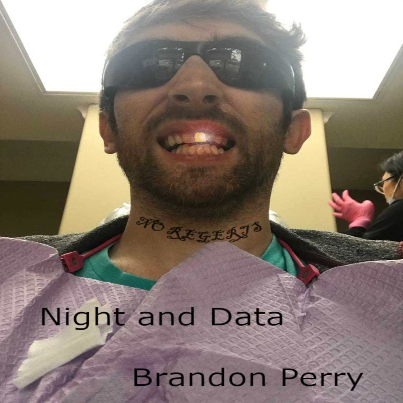 Постер альбома Night and Data
