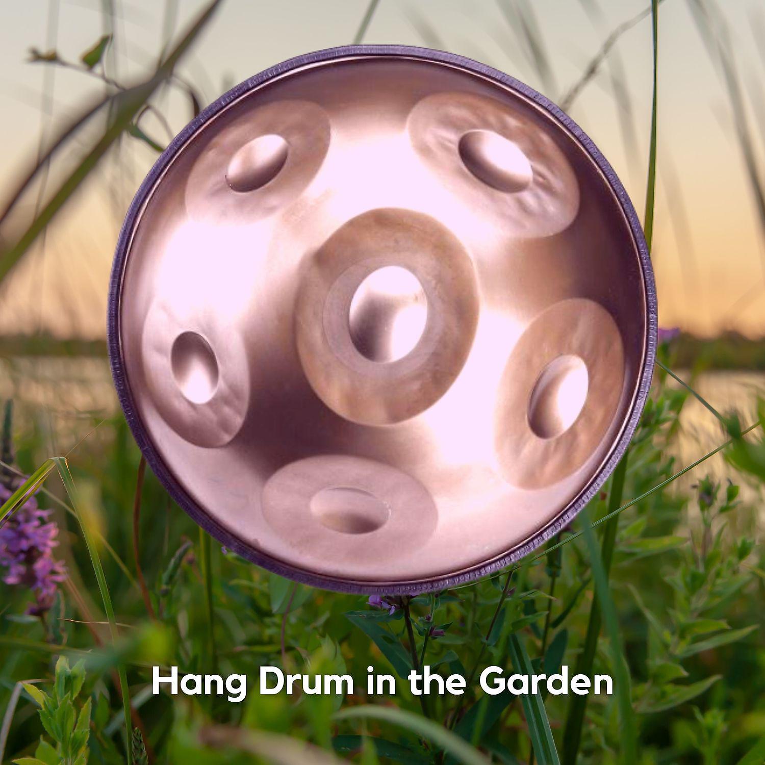 Постер альбома Hang Drum in the Garden, Vol. 2