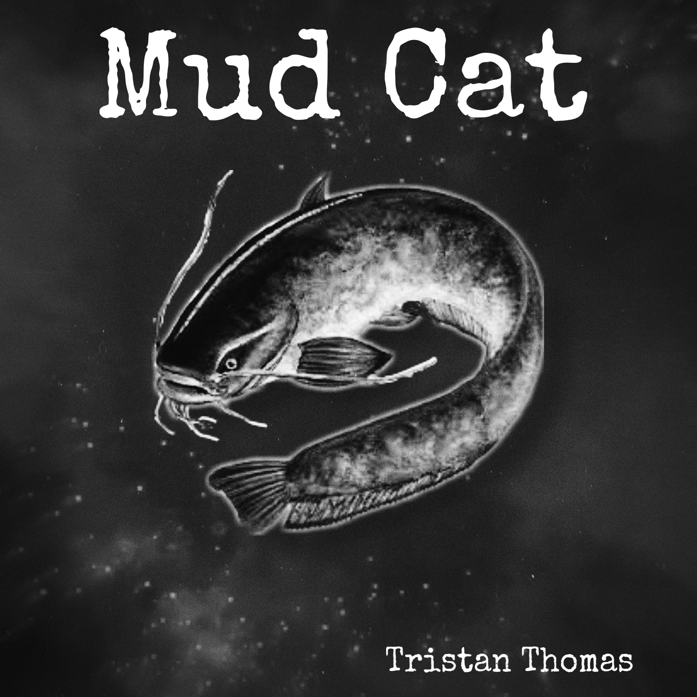 Постер альбома Mud Cat