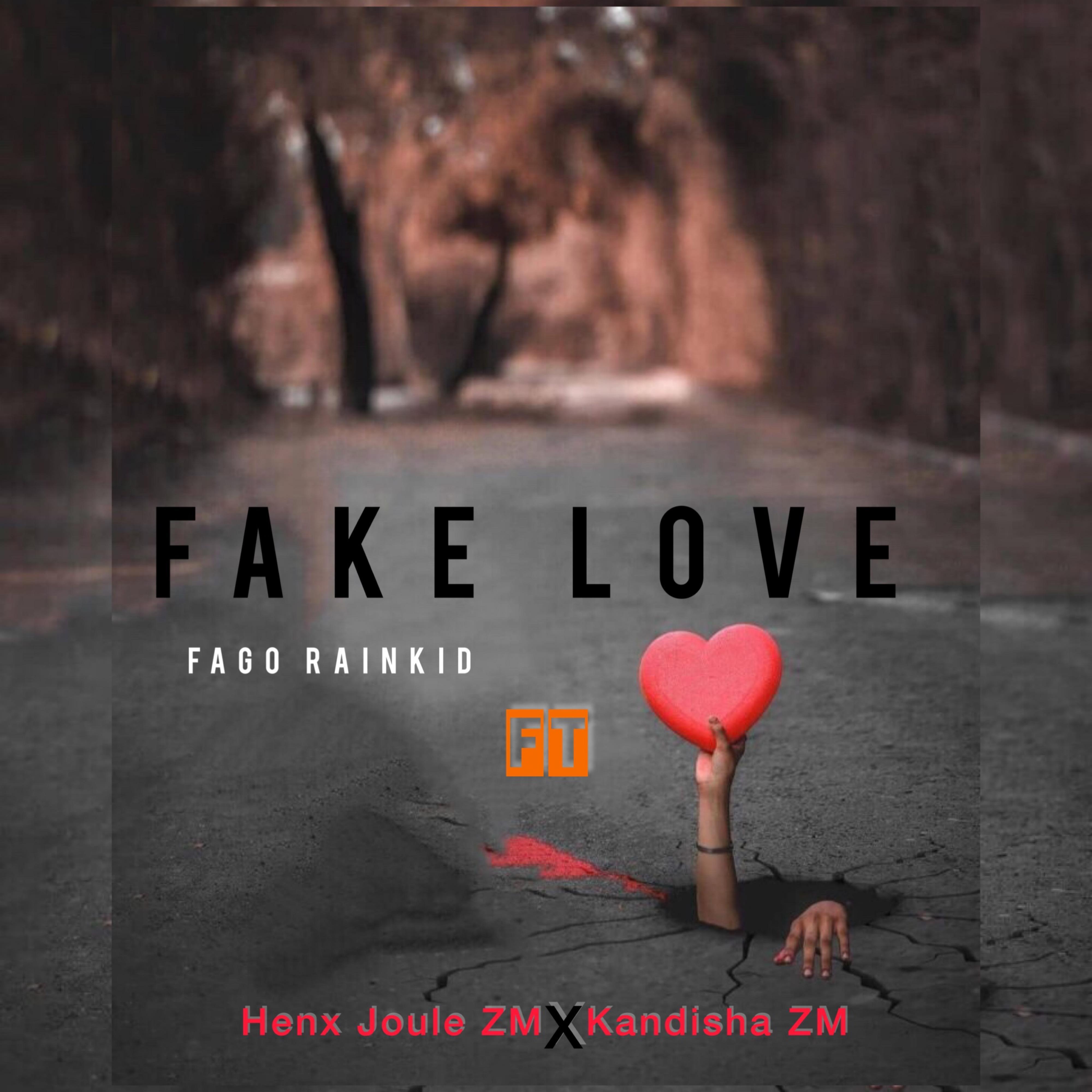 Постер альбома Fake Love (feat. Henx Joule ZM & Kandisha ZM)