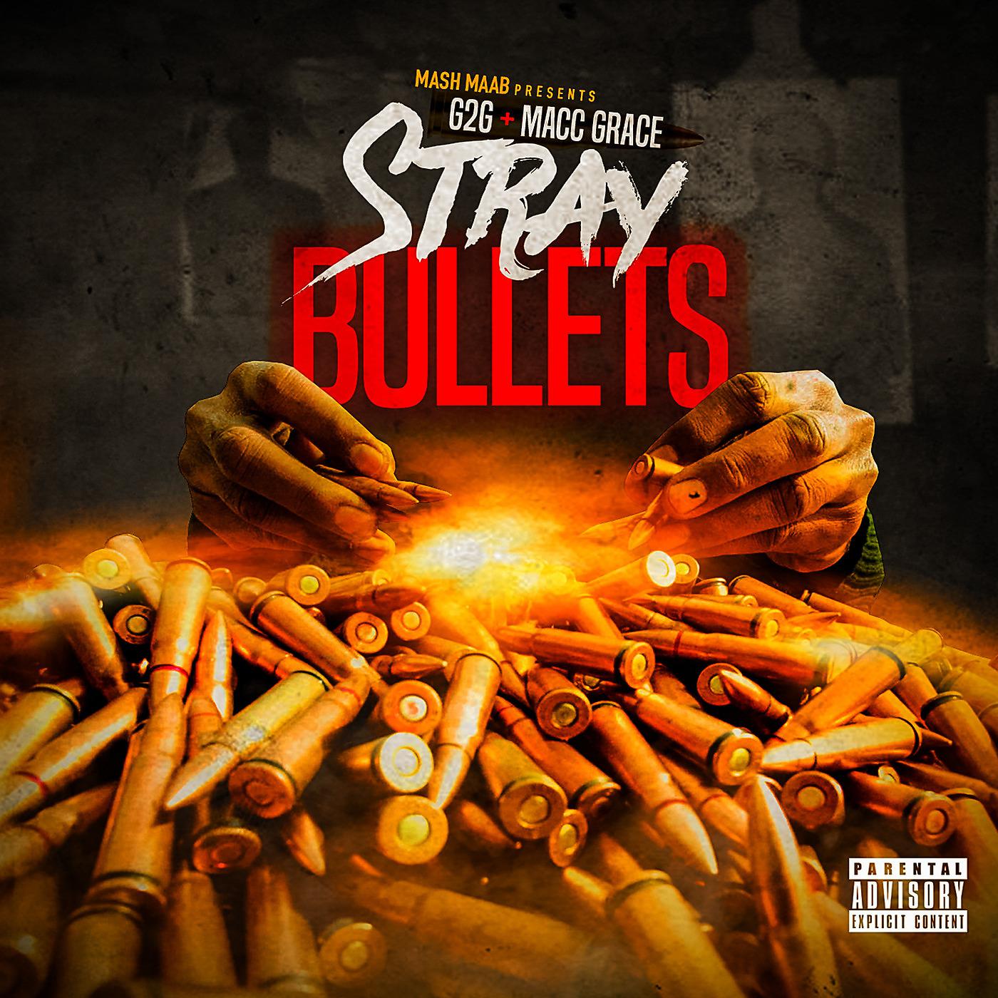 Постер альбома Stray Bullets