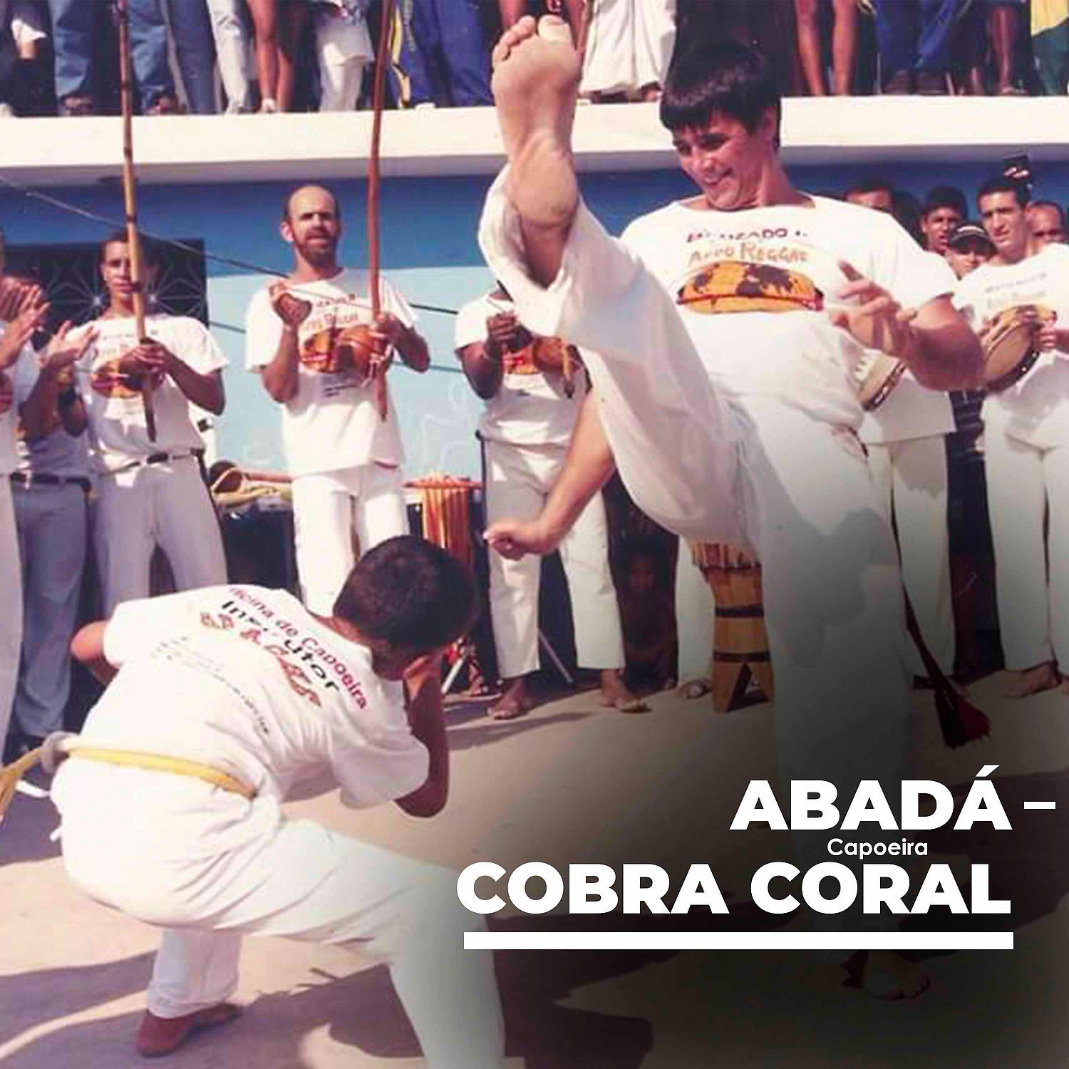 Постер альбома Cobra Coral