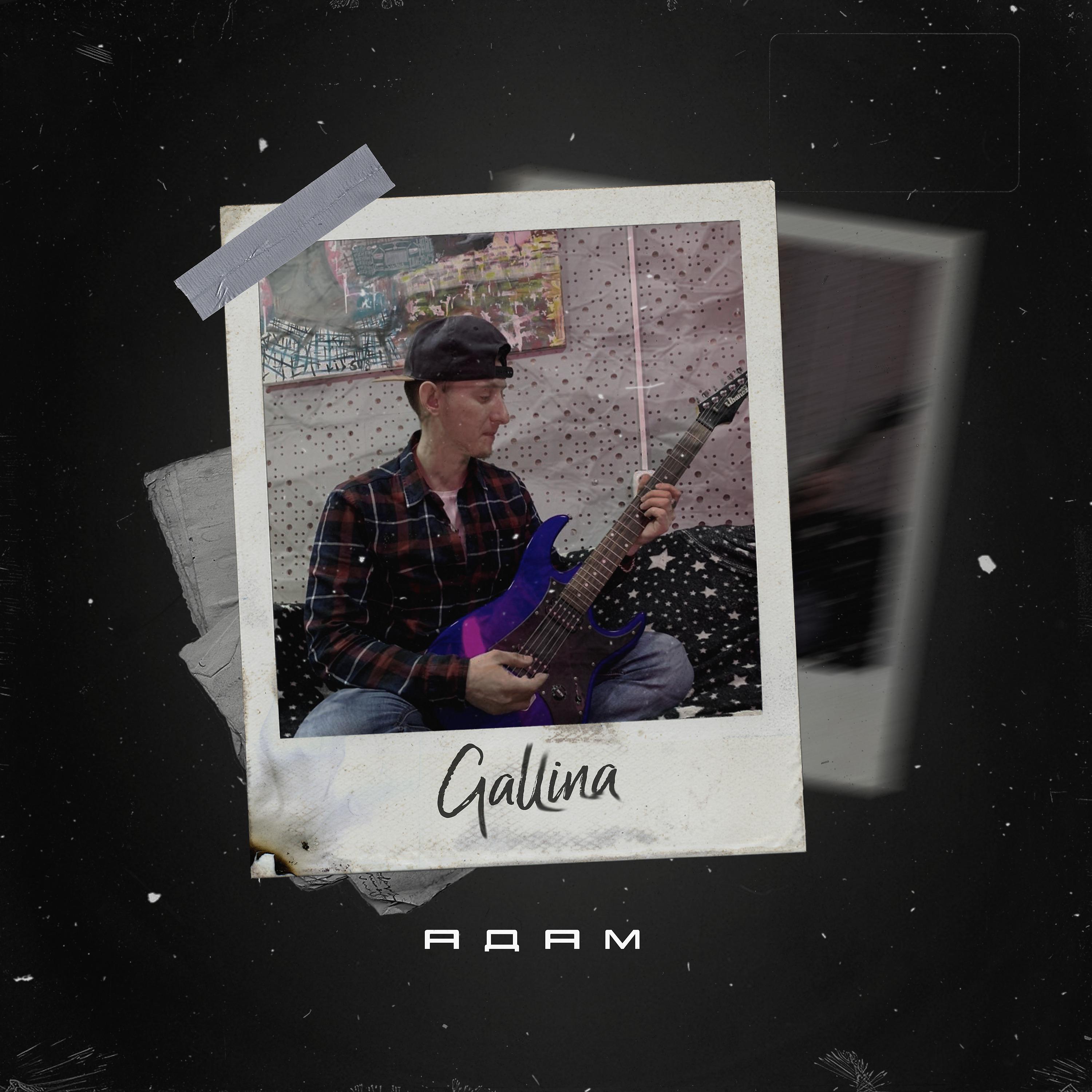 Постер альбома Gallina