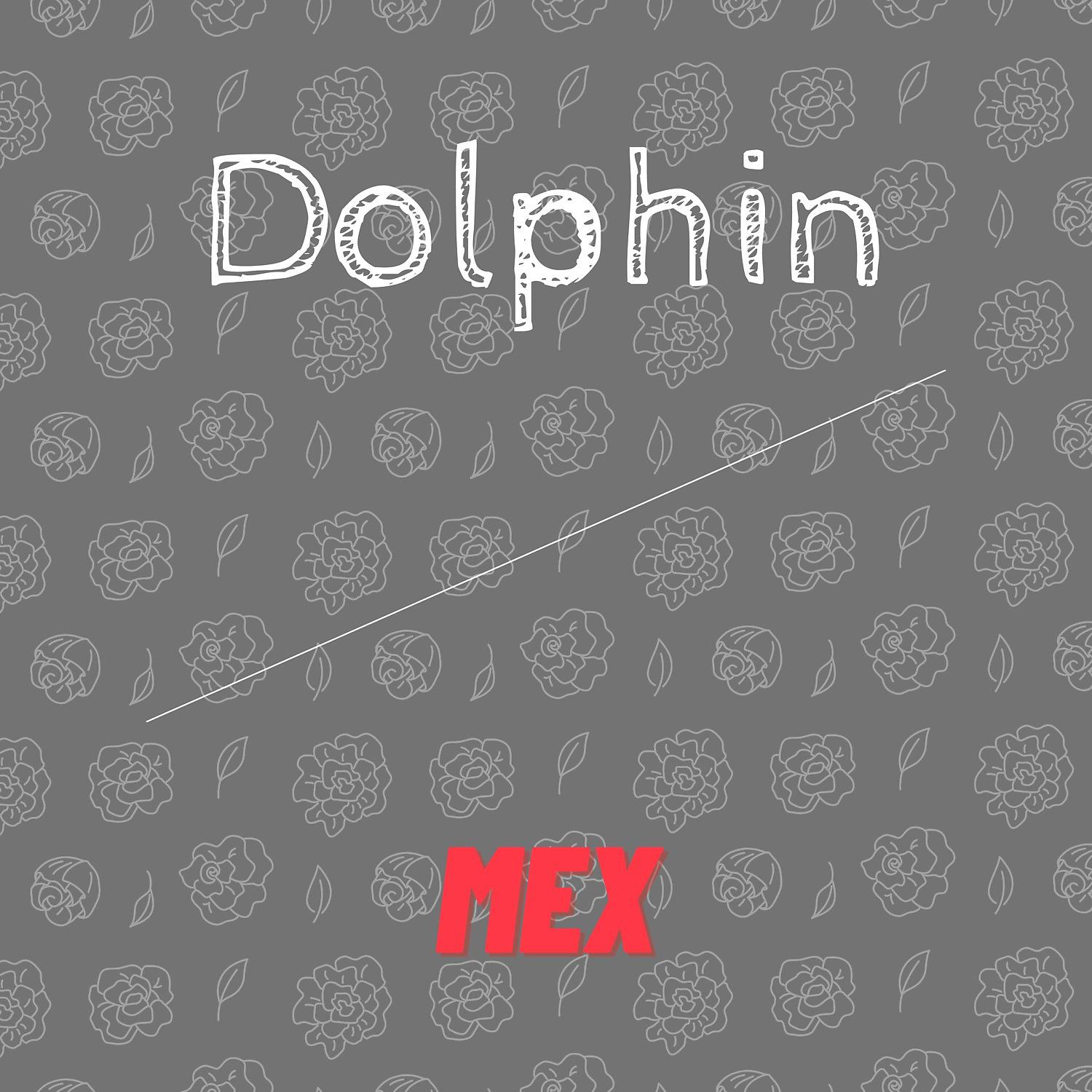 Постер альбома Dolphin