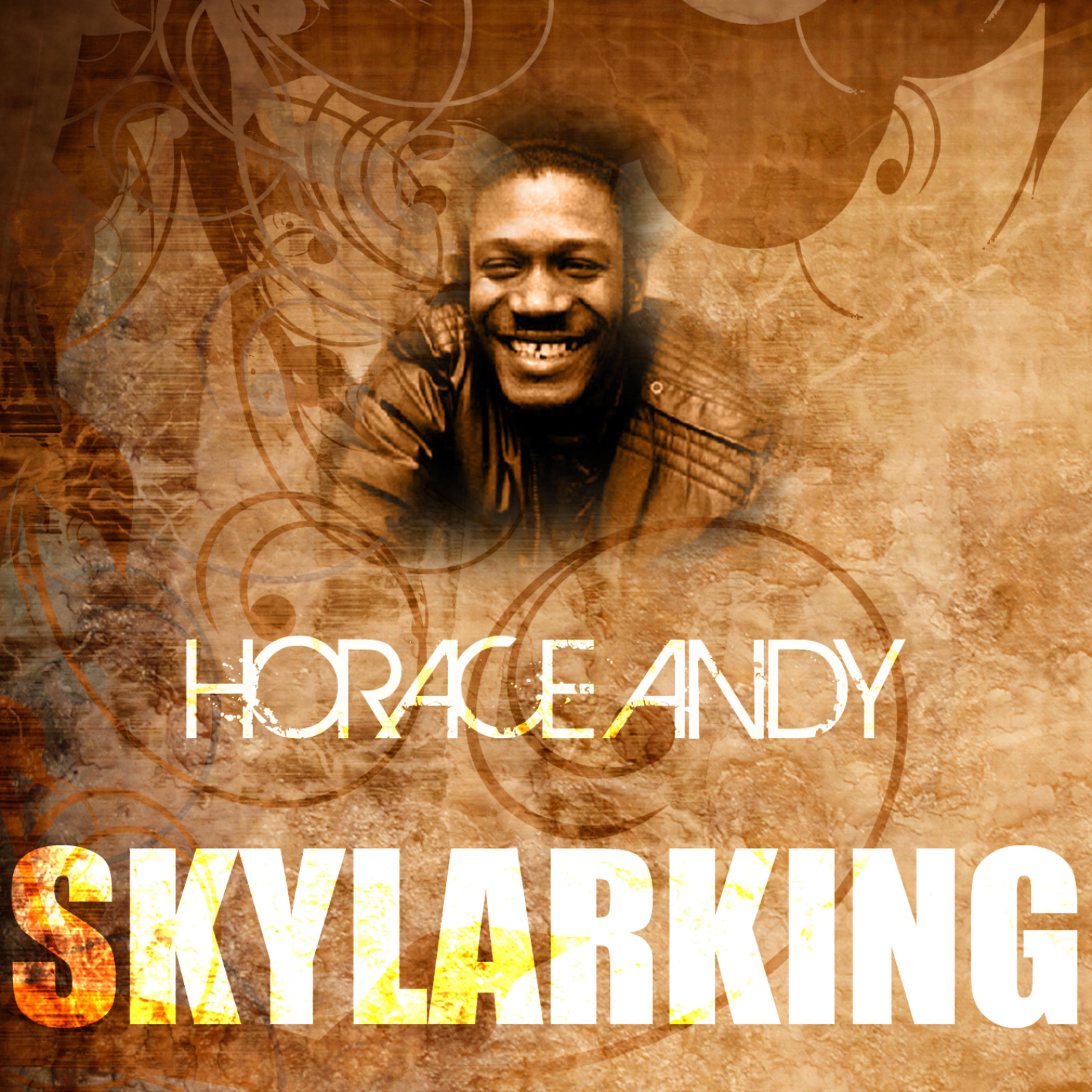 Постер альбома Skylarking