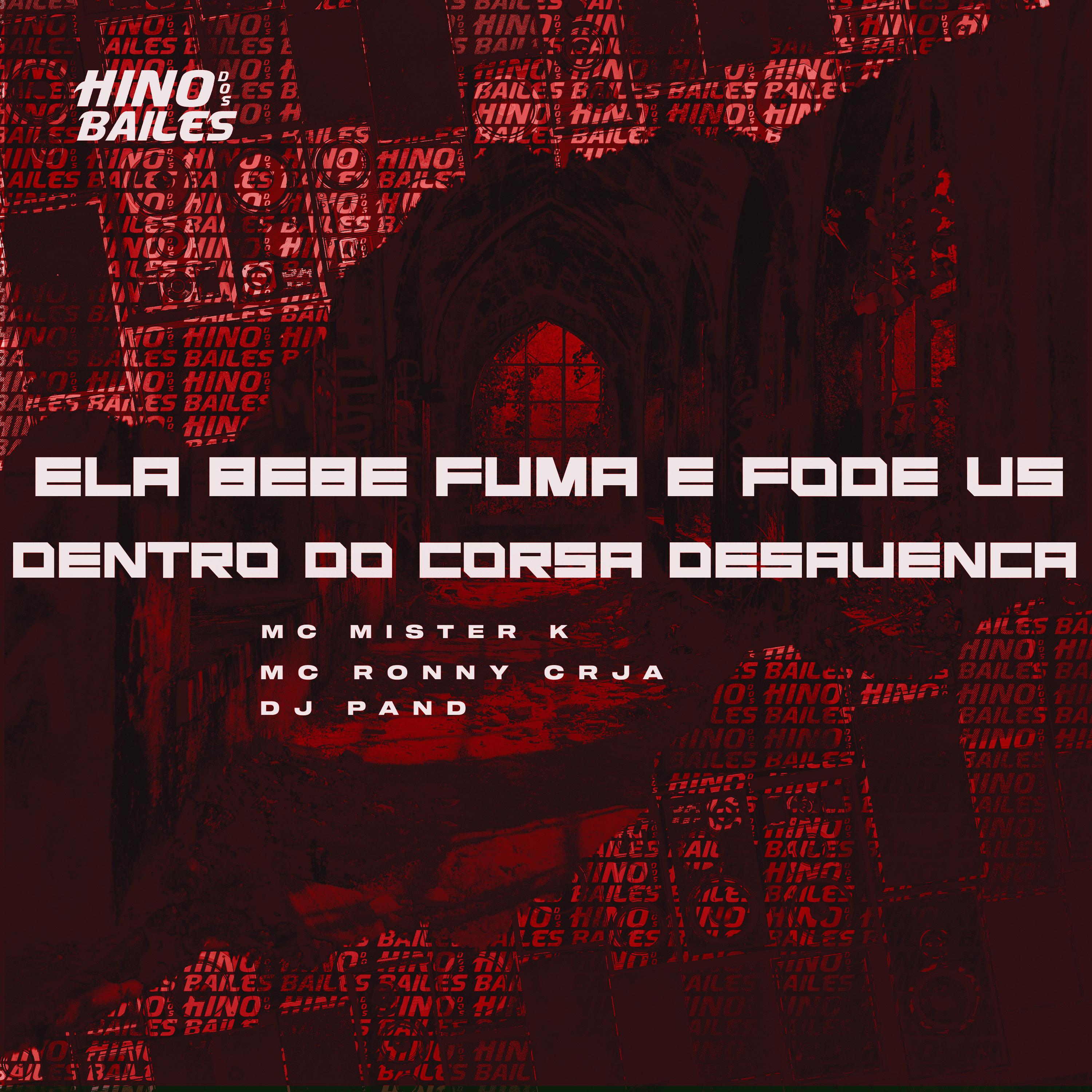 Постер альбома Ela Bebe Fuma e Fode Vs Dentro do Corsa Desavença