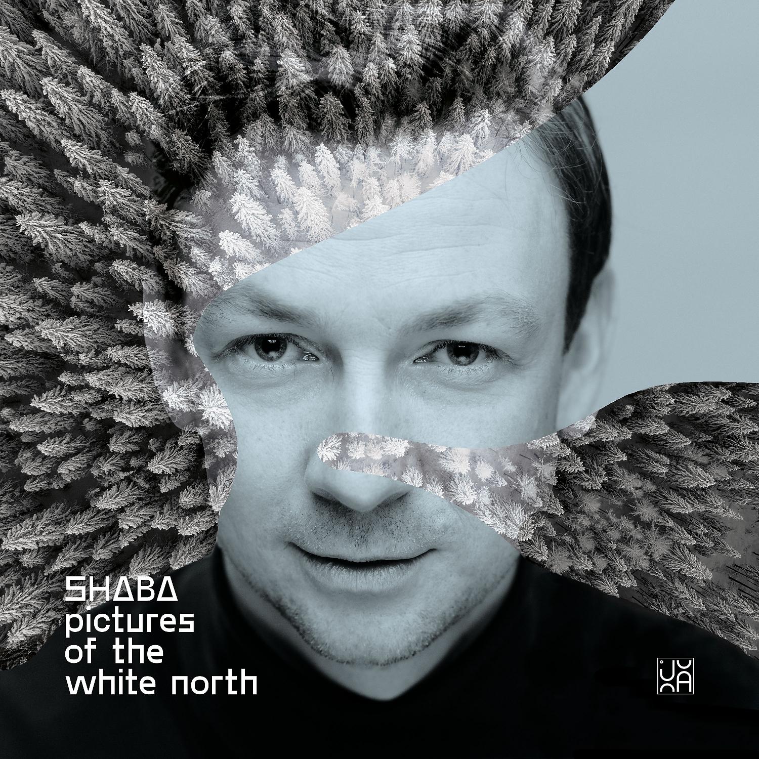 Постер альбома Pictures of the White North