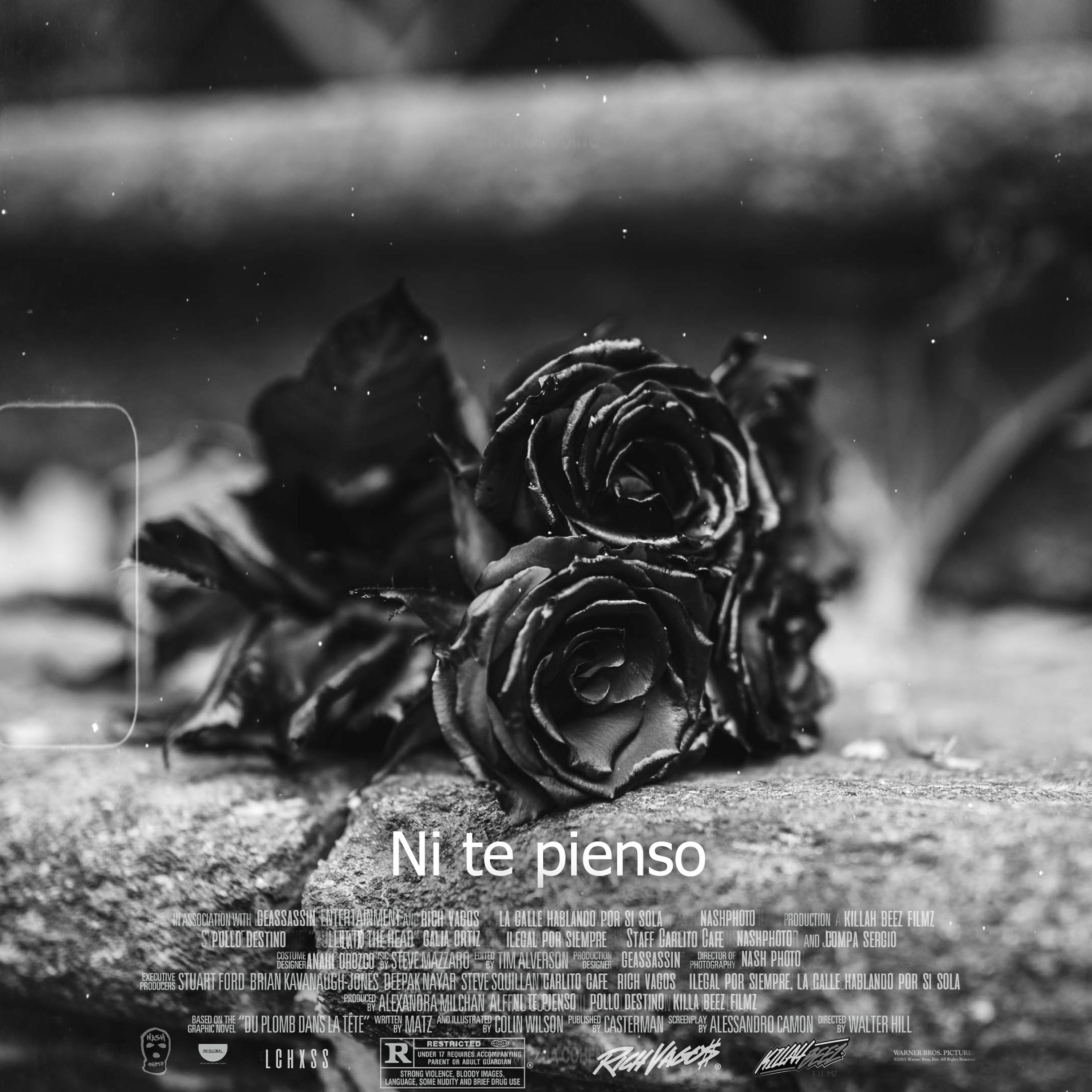 Постер альбома Ni Te Pienso