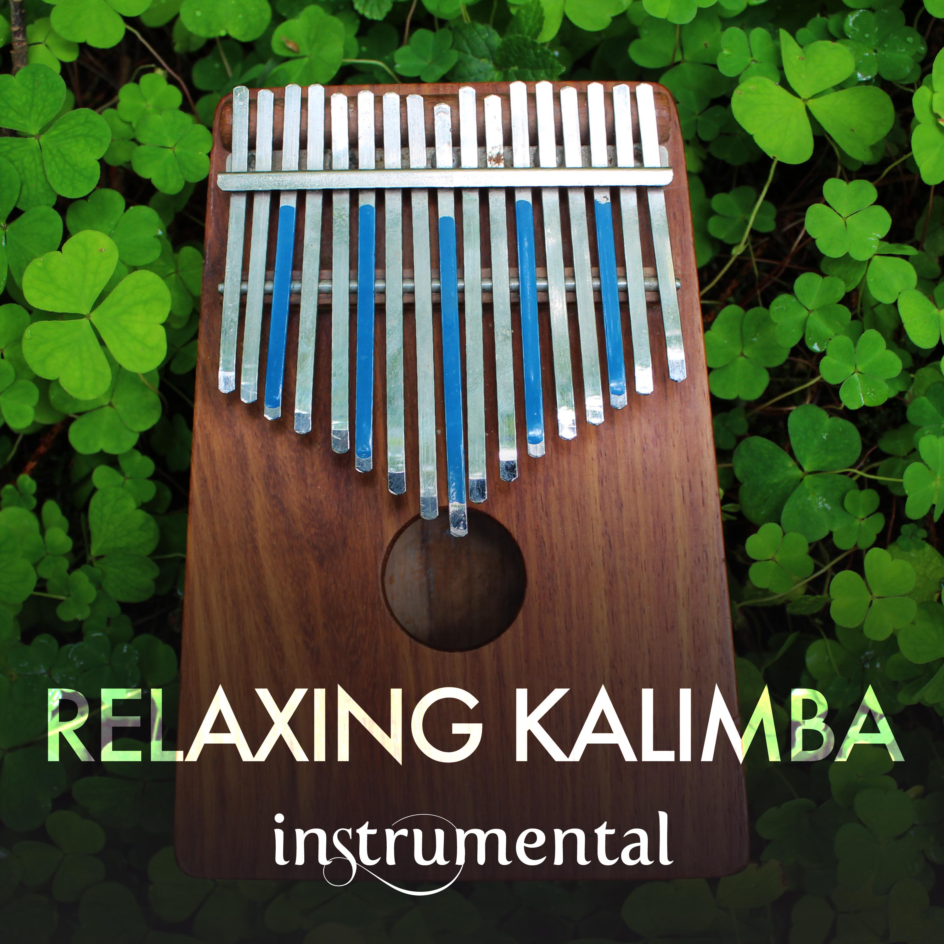 Постер альбома Relaxing Kalimba