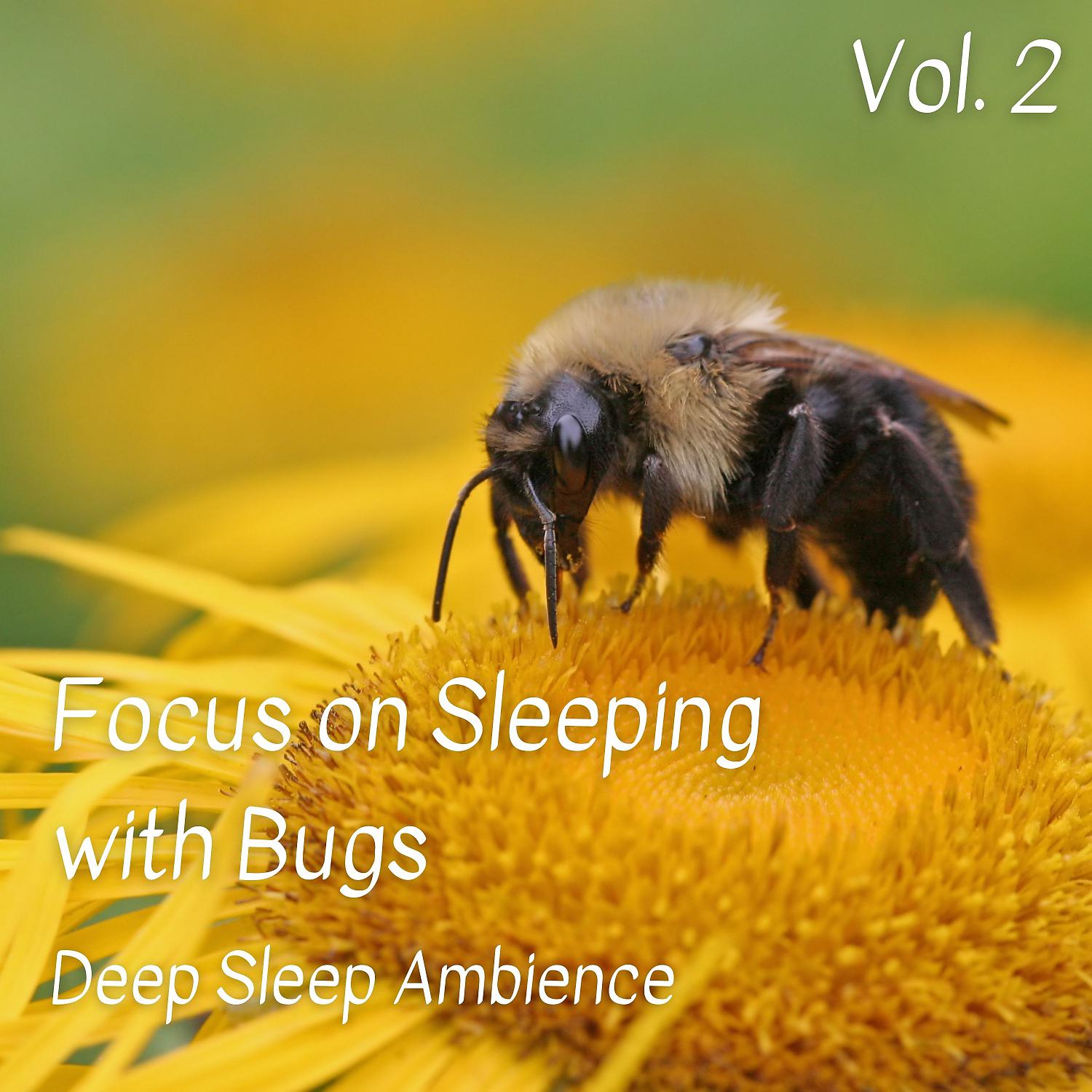 Постер альбома Deep Sleep Ambience: Focus on Sleeping with Bugs Vol. 1