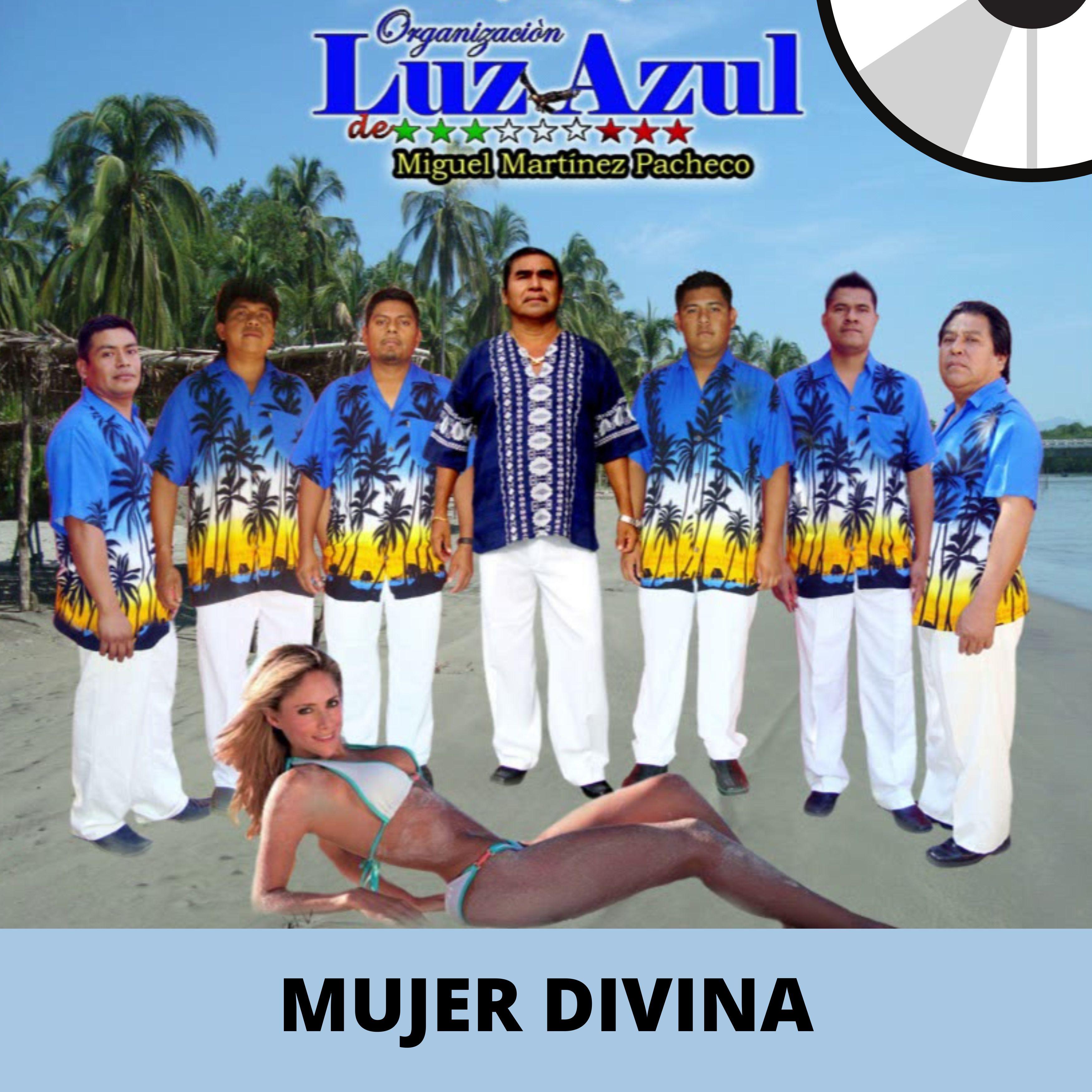 Постер альбома Mujer Divina