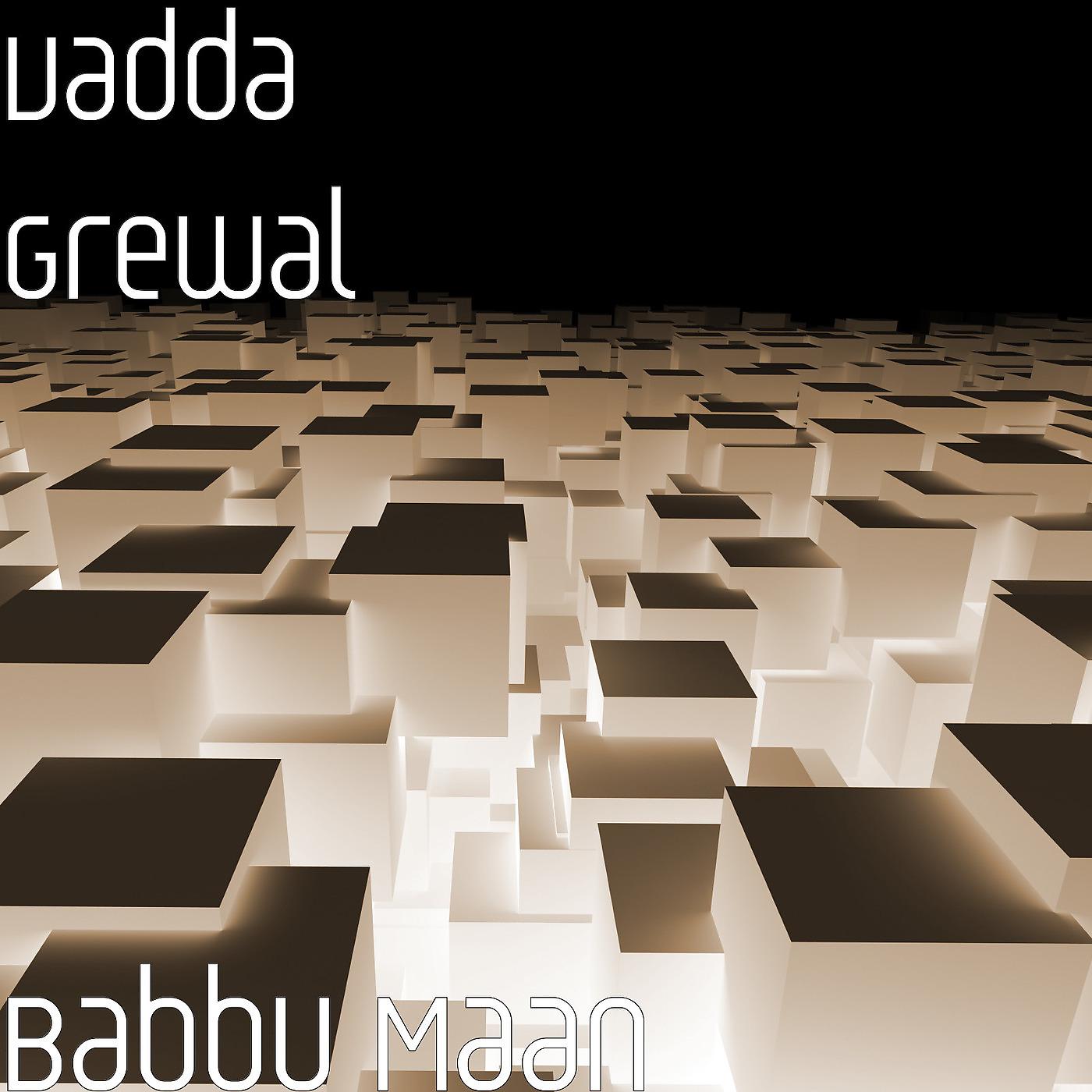 Постер альбома Babbu Maan