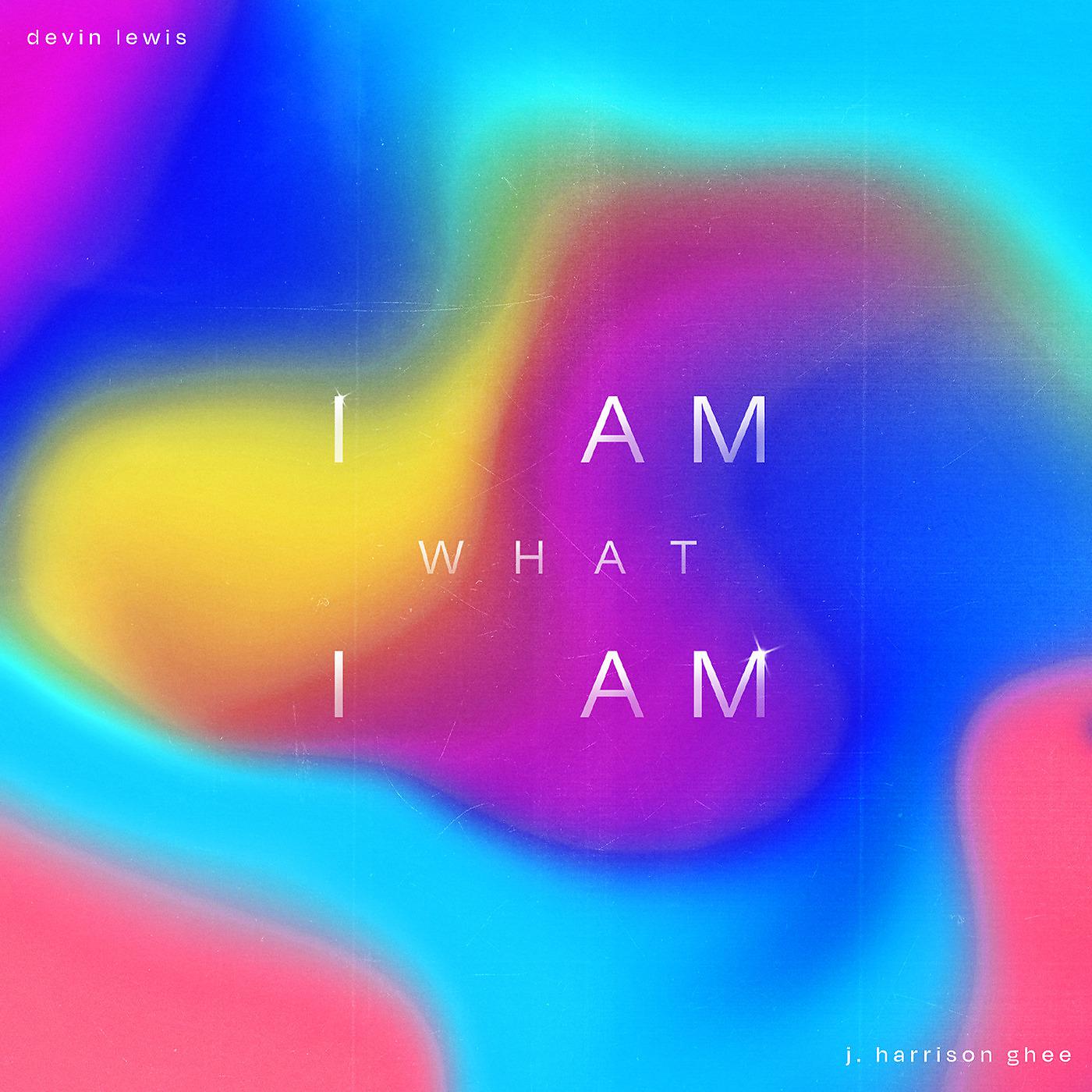 Постер альбома I Am What I Am (Dance Version)
