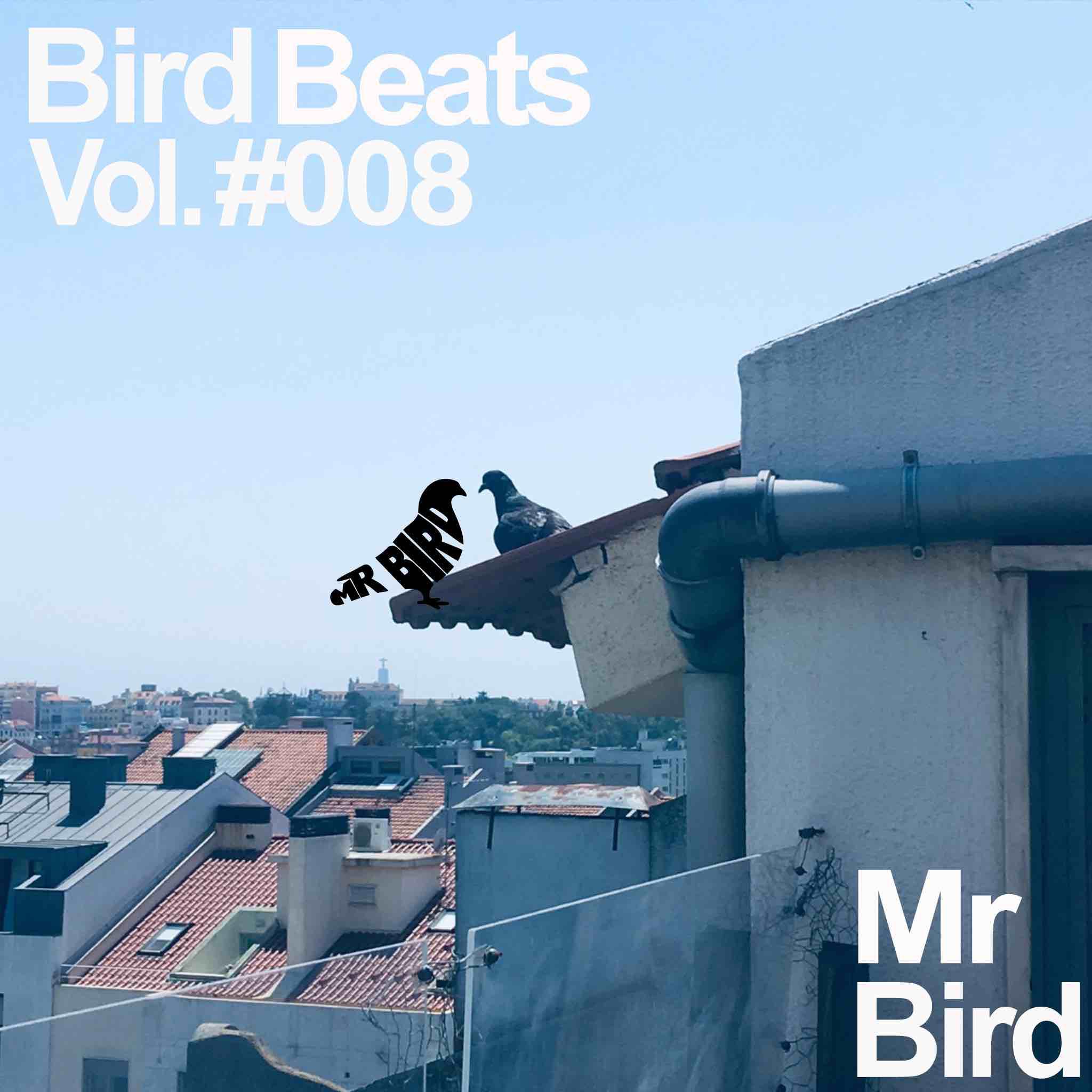 Постер альбома Bird Beats #008