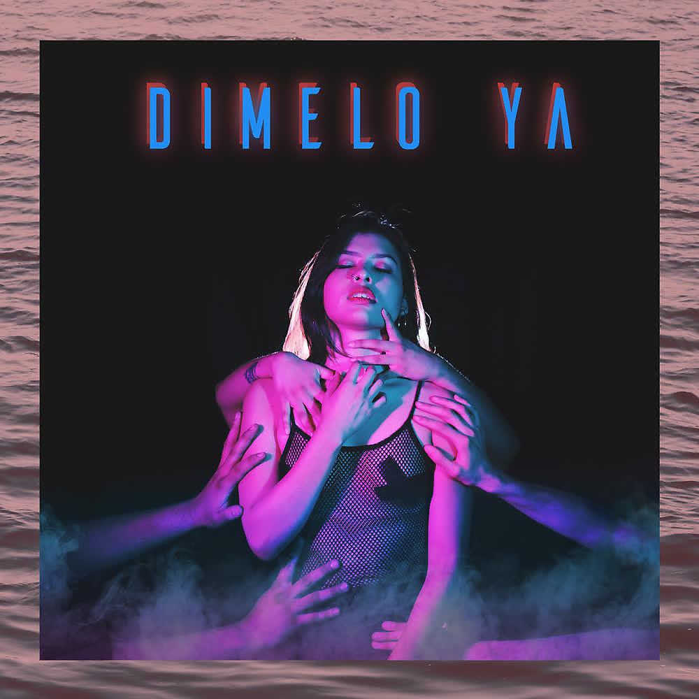 Постер альбома Dimelo Ya