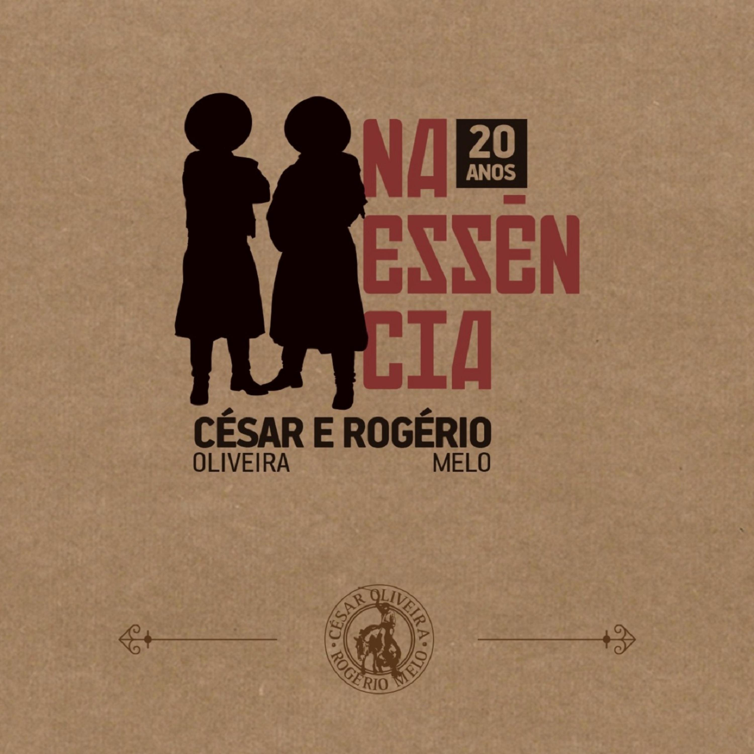 Постер альбома Na Essência - 20 Anos