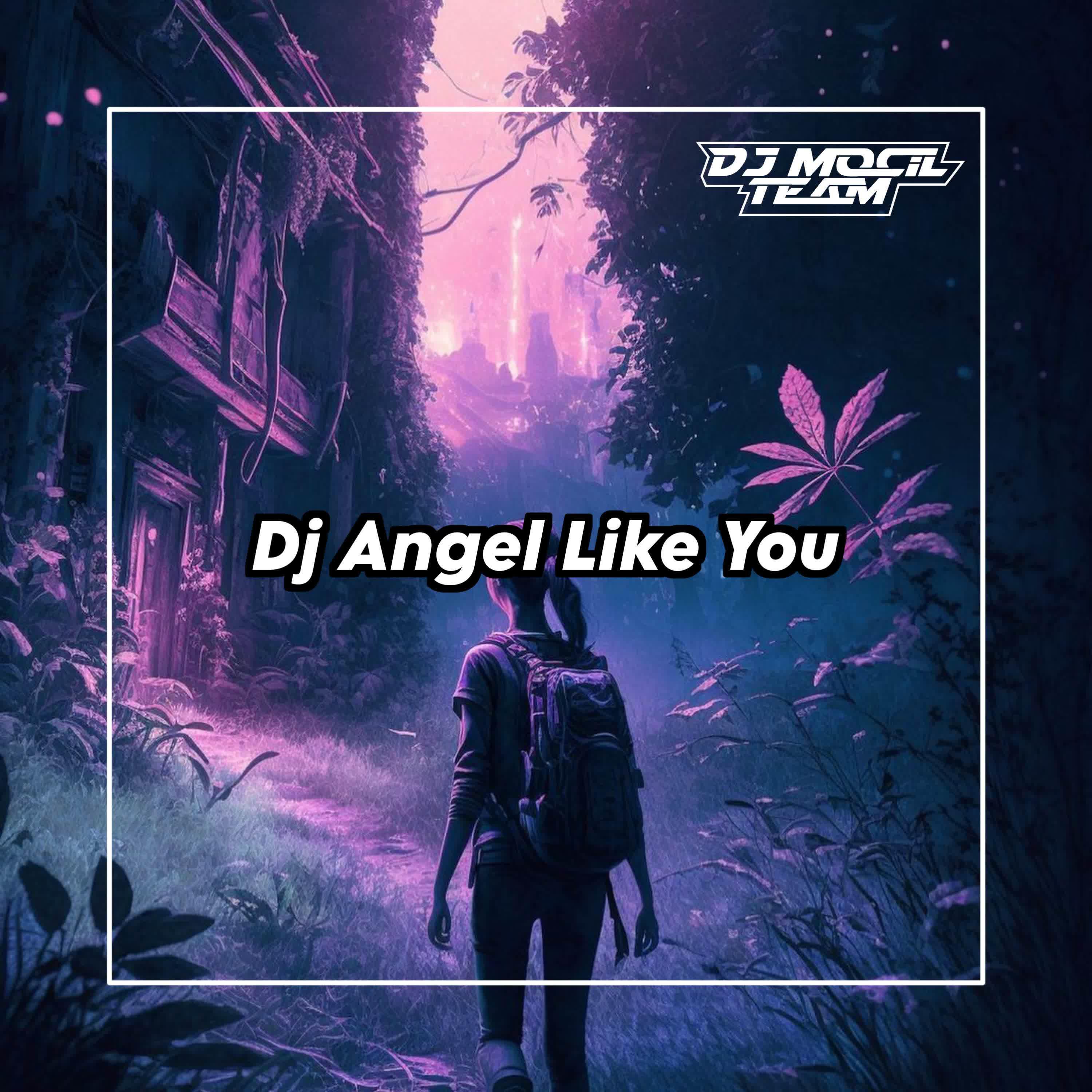 Постер альбома Dj angel like you
