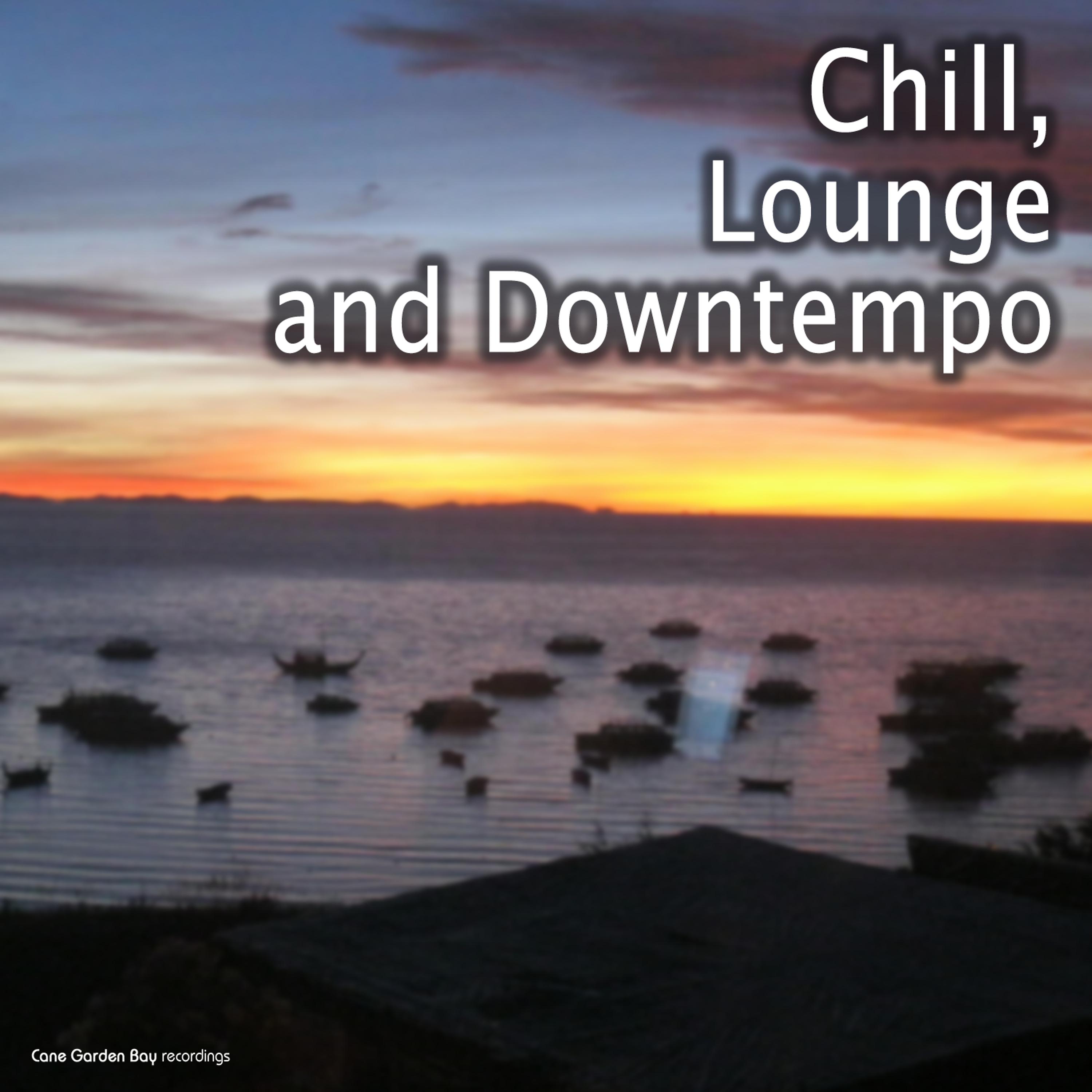 Постер альбома Chill, Lounge and Downtempo