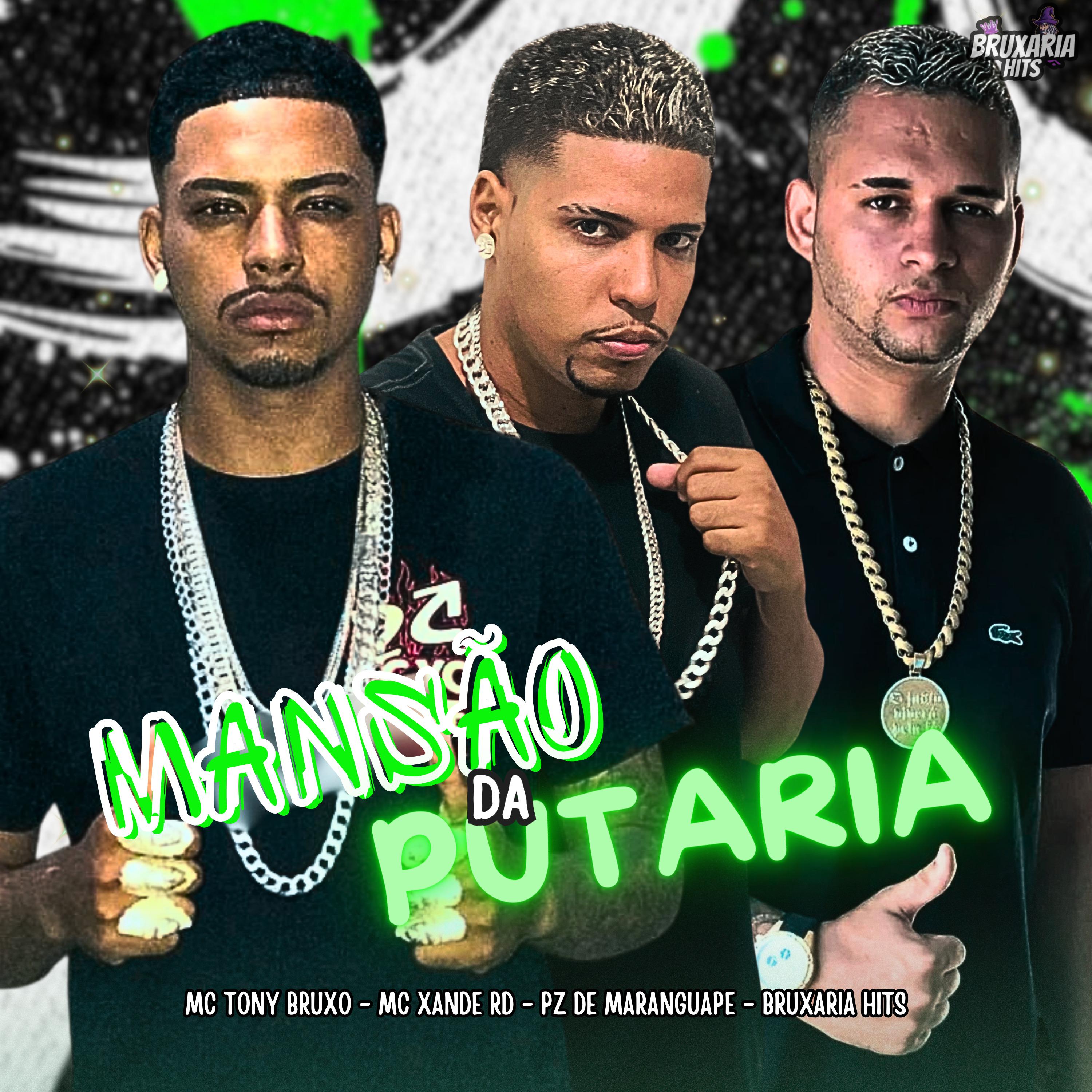Постер альбома Mansão da Putaria