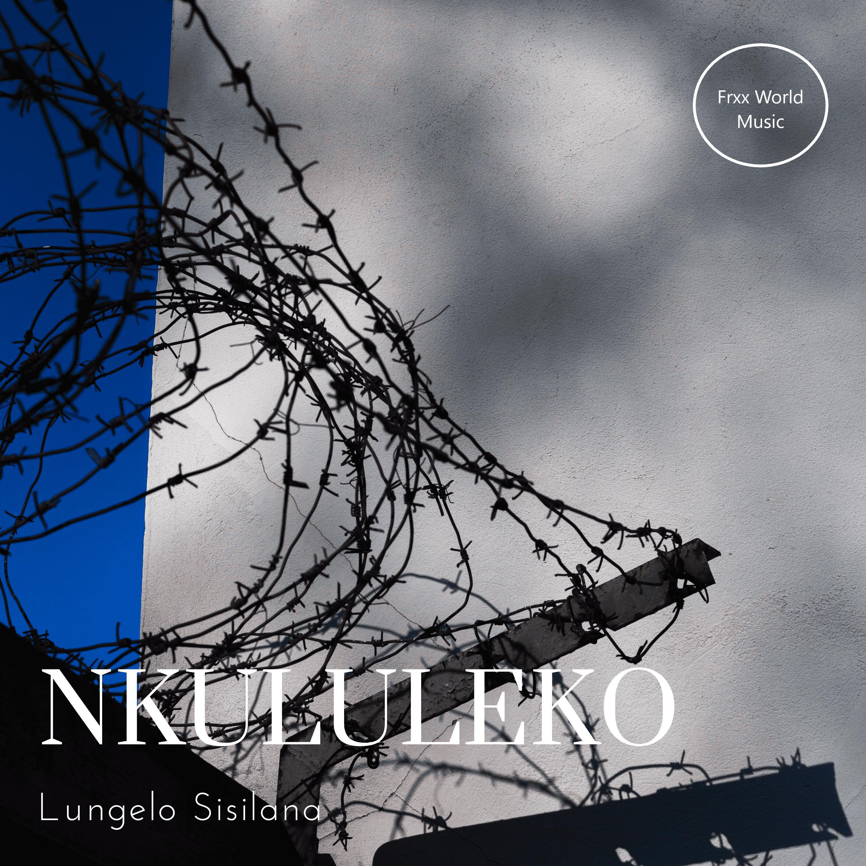 Постер альбома Nkululeko