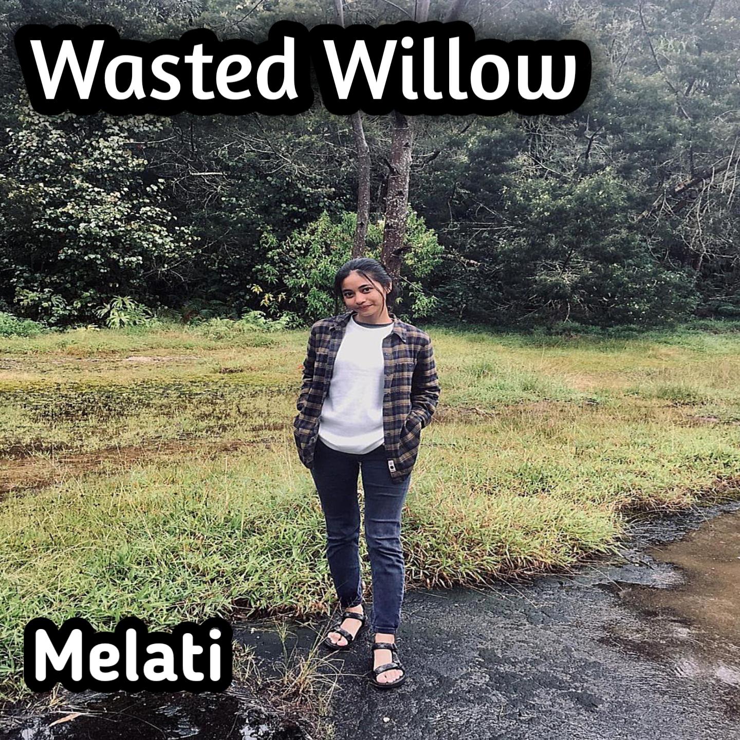 Постер альбома Wasted Willow