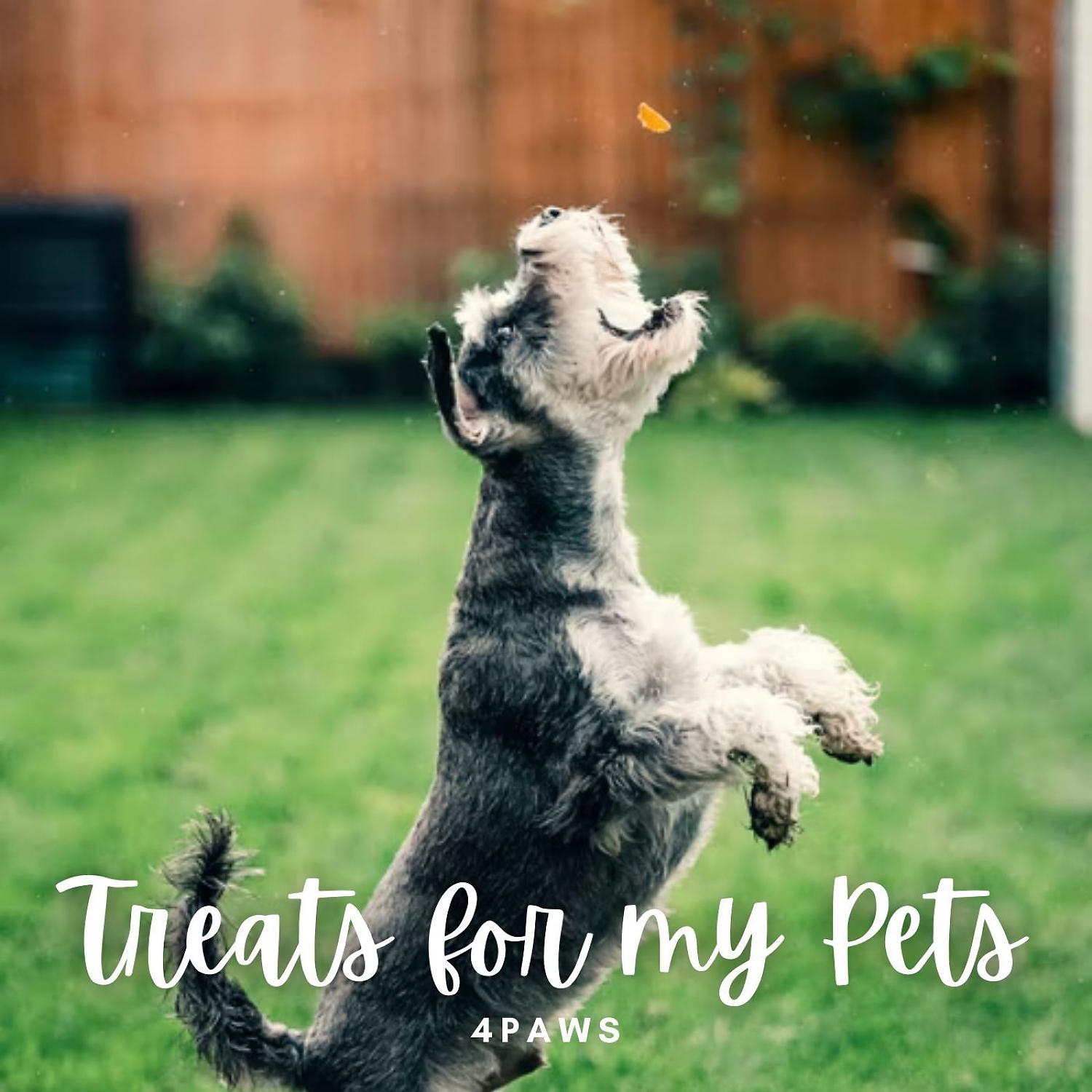 Постер альбома 4Paws: Treats for my Pets