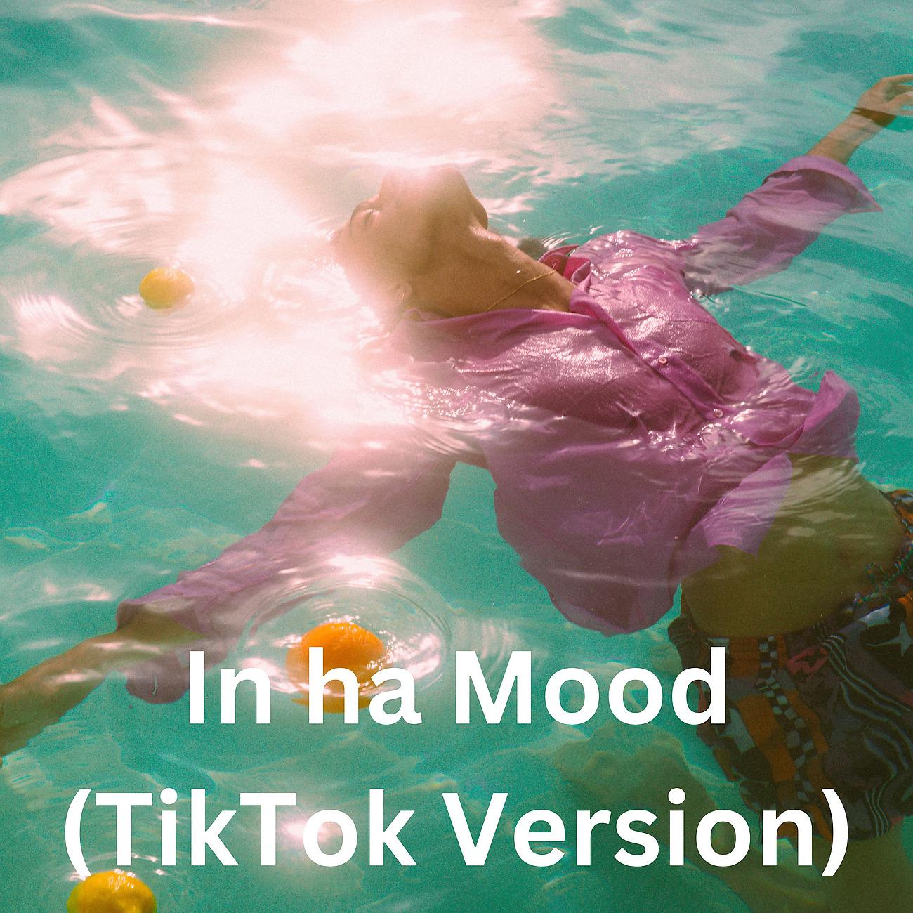 Постер альбома In ha Mood (TikTok Version)