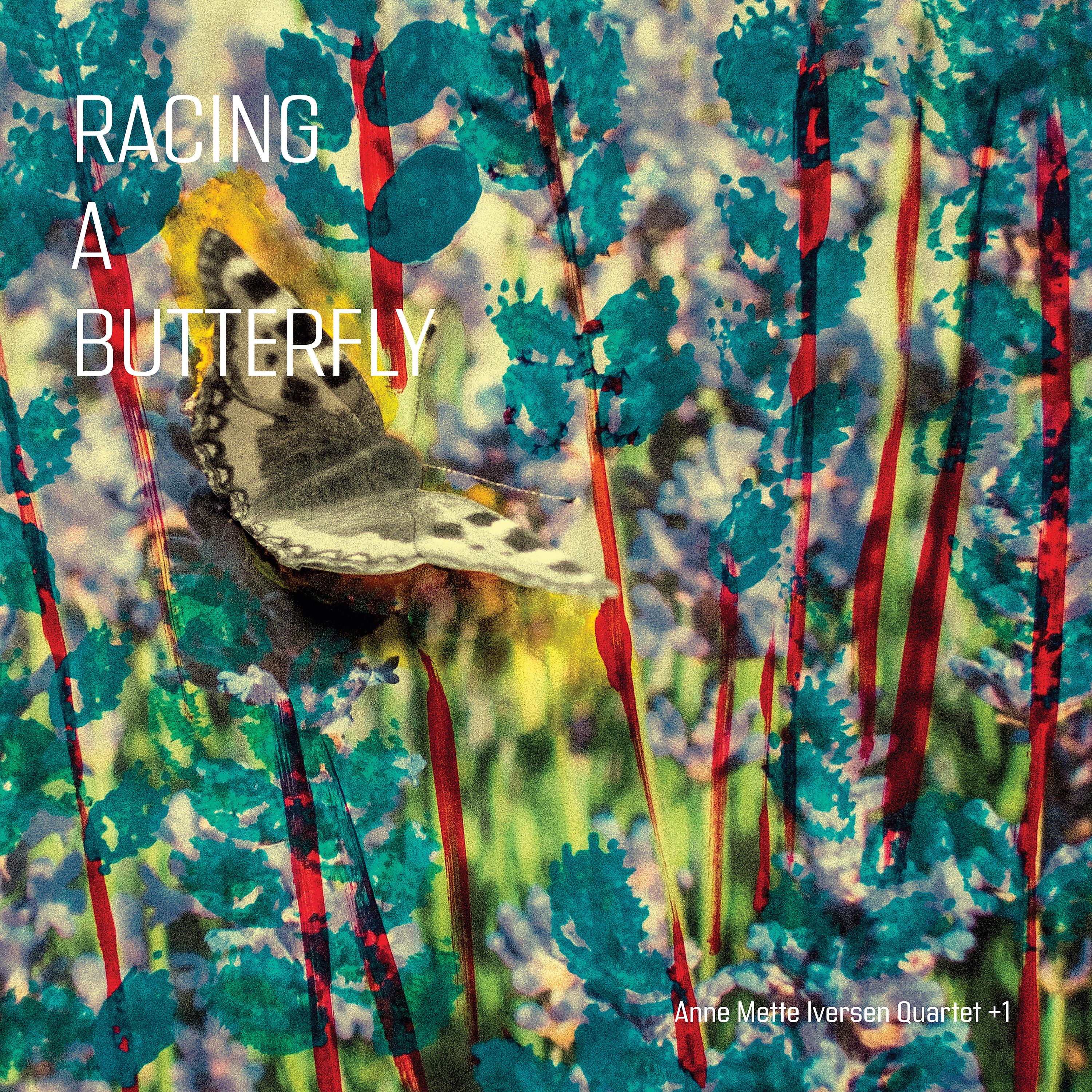 Постер альбома Racing a Butterfly