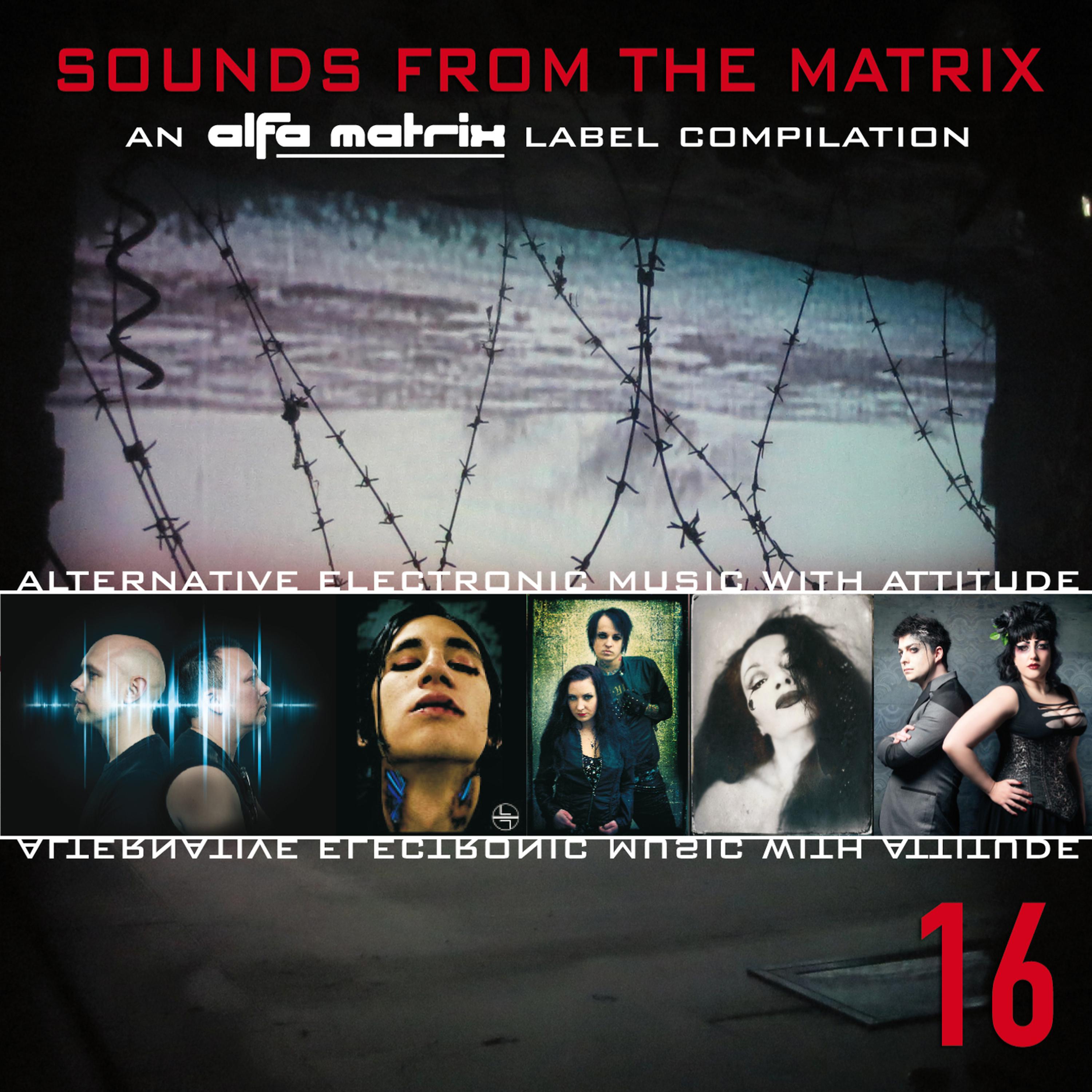 Постер альбома Sounds from the Matrix 16