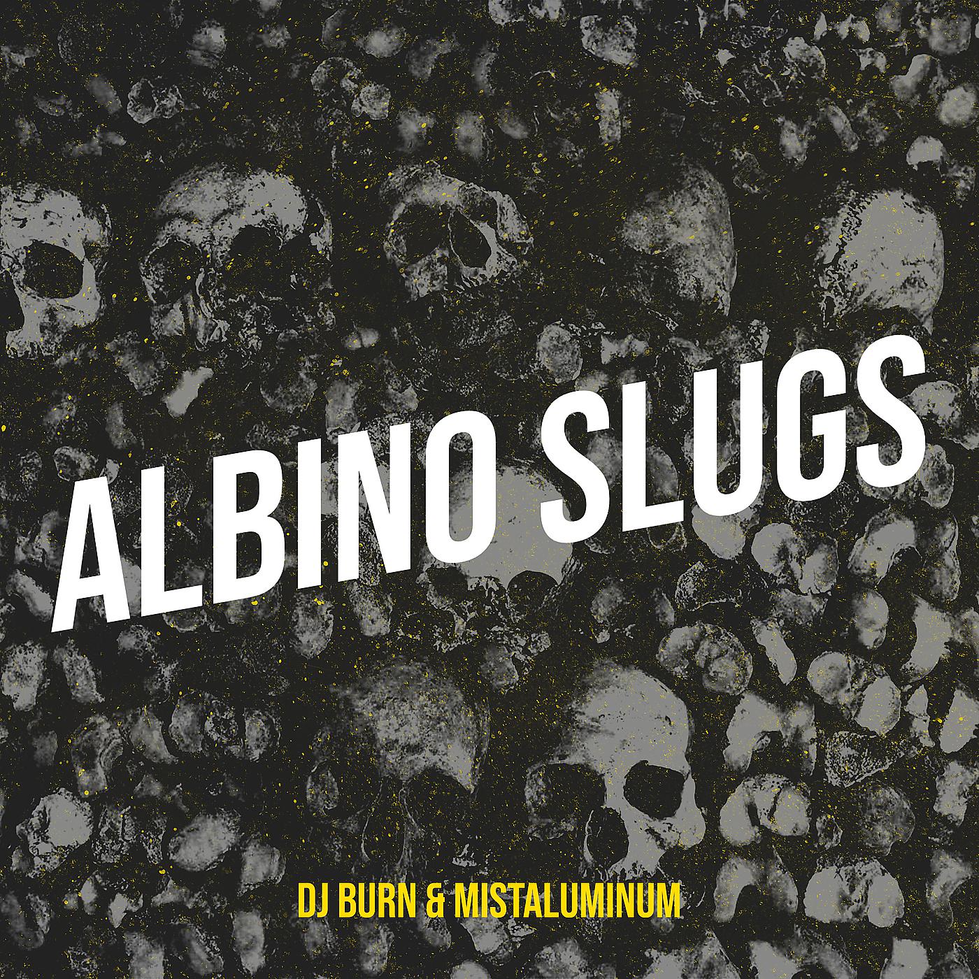 Постер альбома Albino Slugs