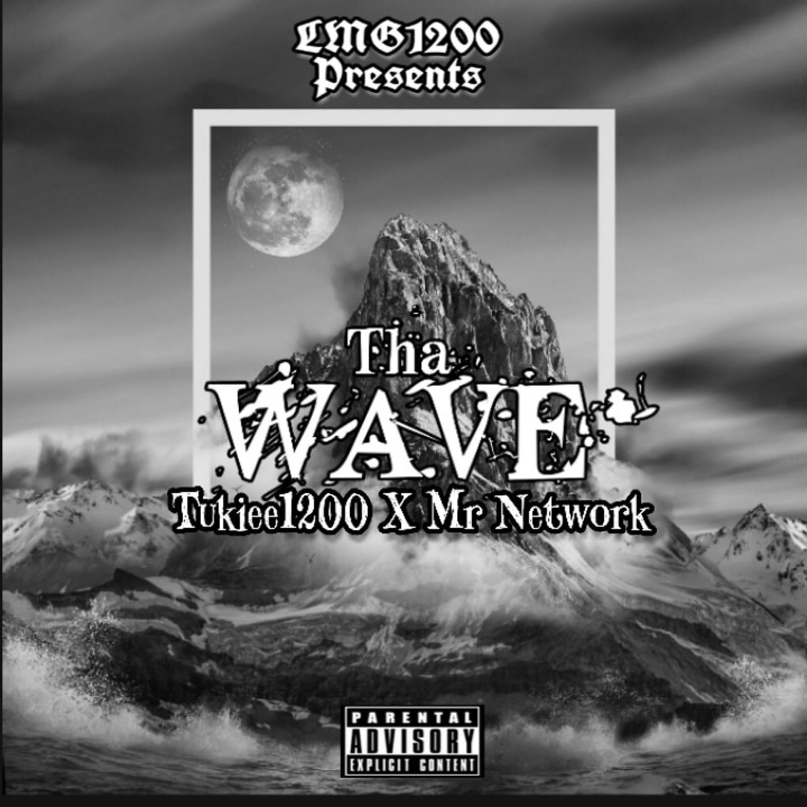 Постер альбома Wave (feat. Mr. Network)