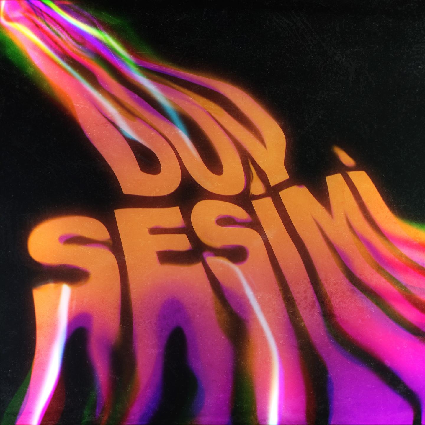 Постер альбома Duy Sesimi